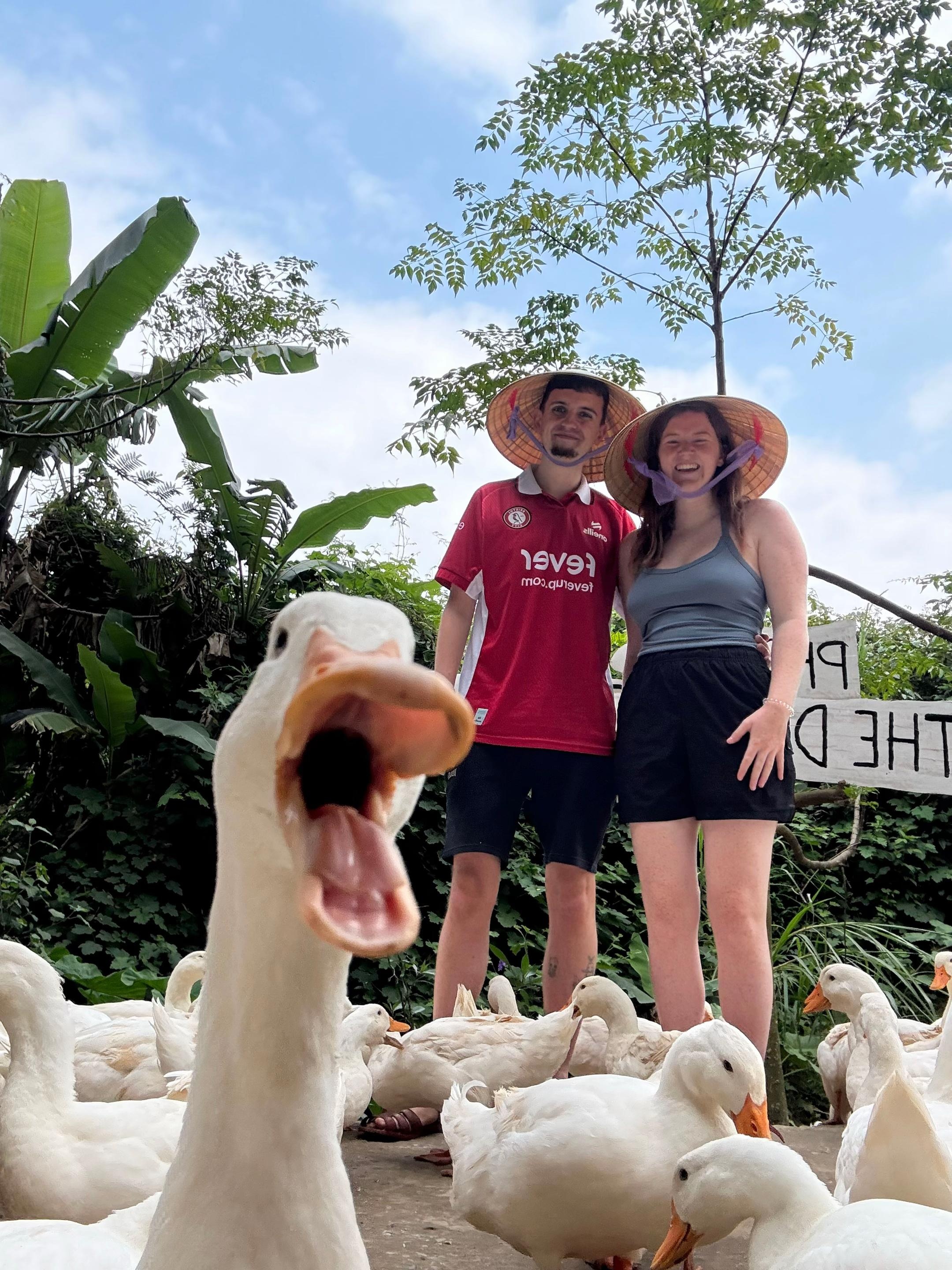 vit,  chan vit,  khach Tay anh 1