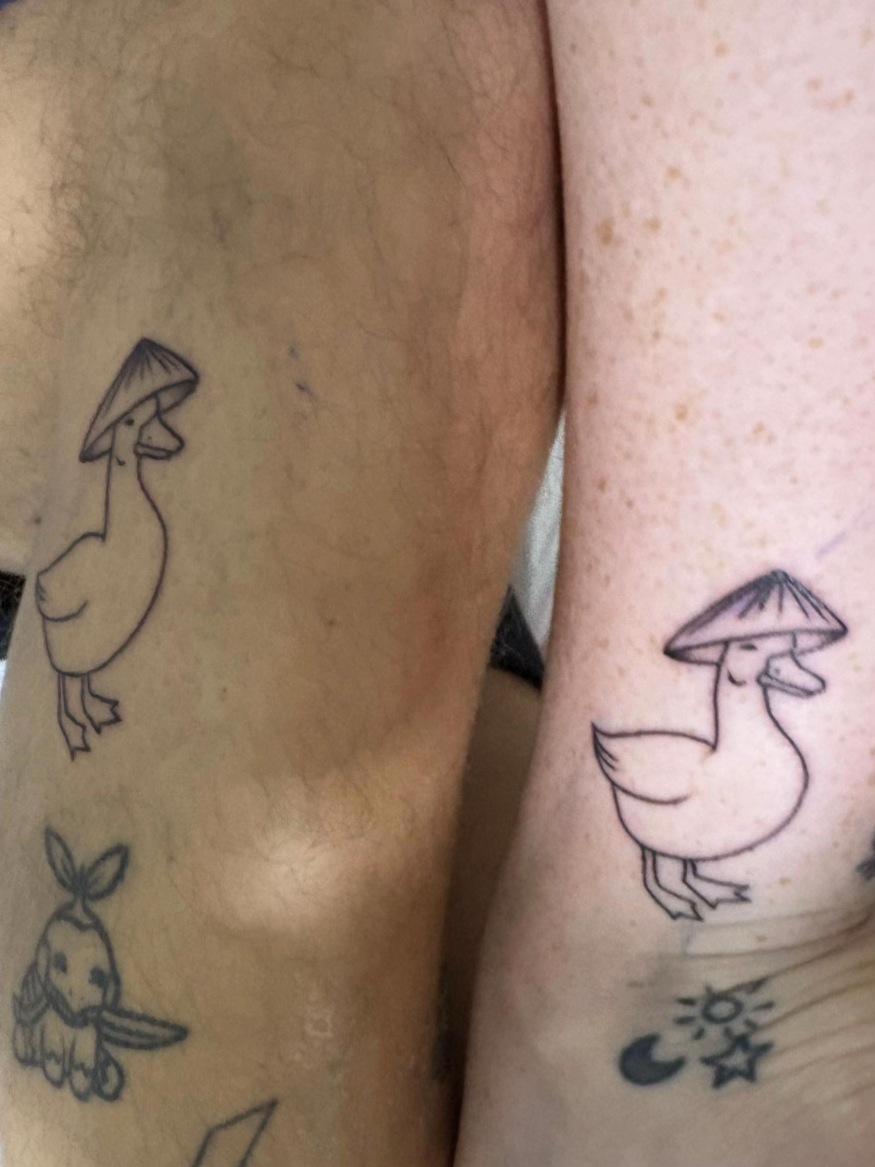 vit,  chan vit,  khach Tay anh 2