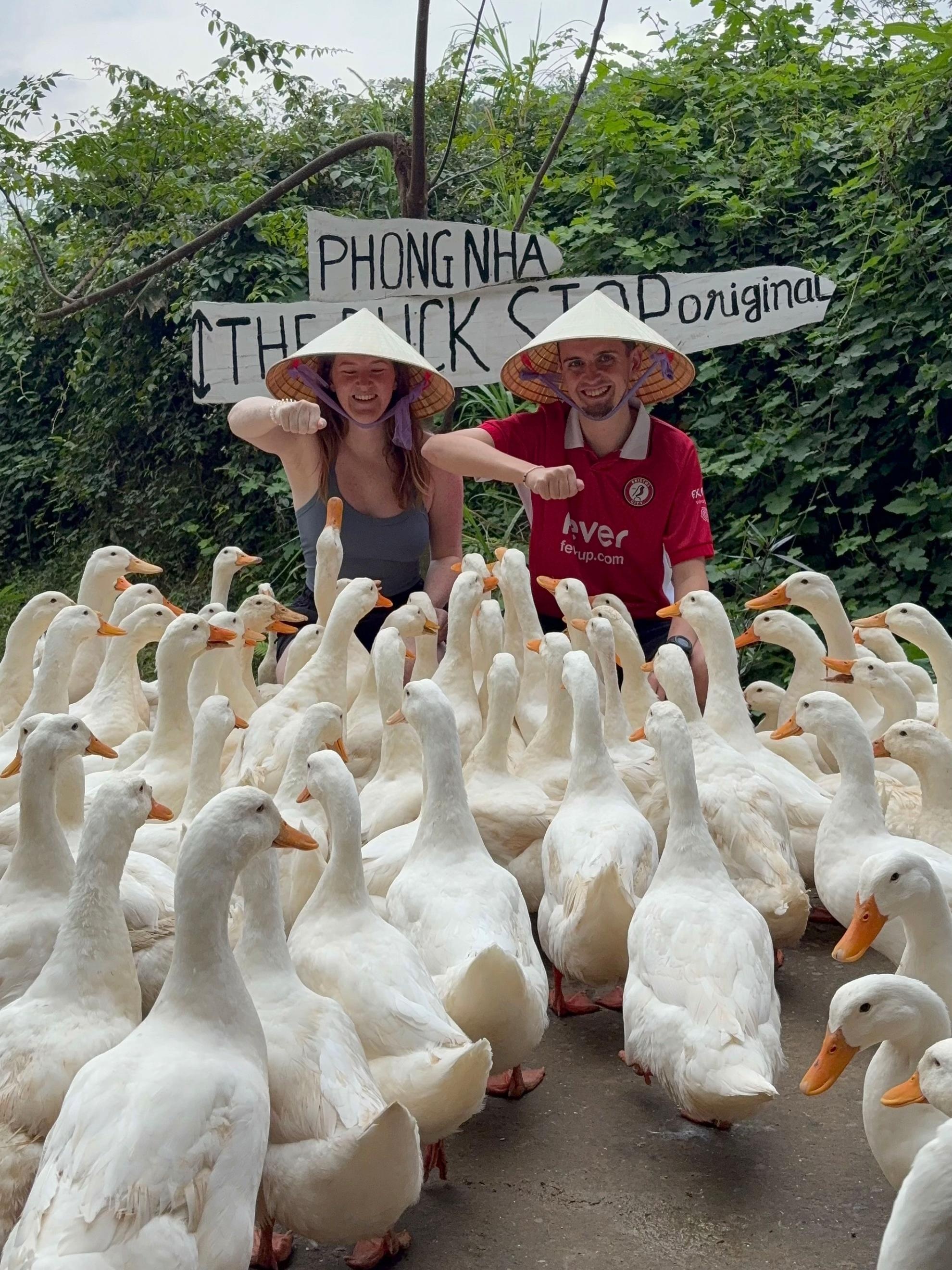 vit,  chan vit,  khach Tay anh 5