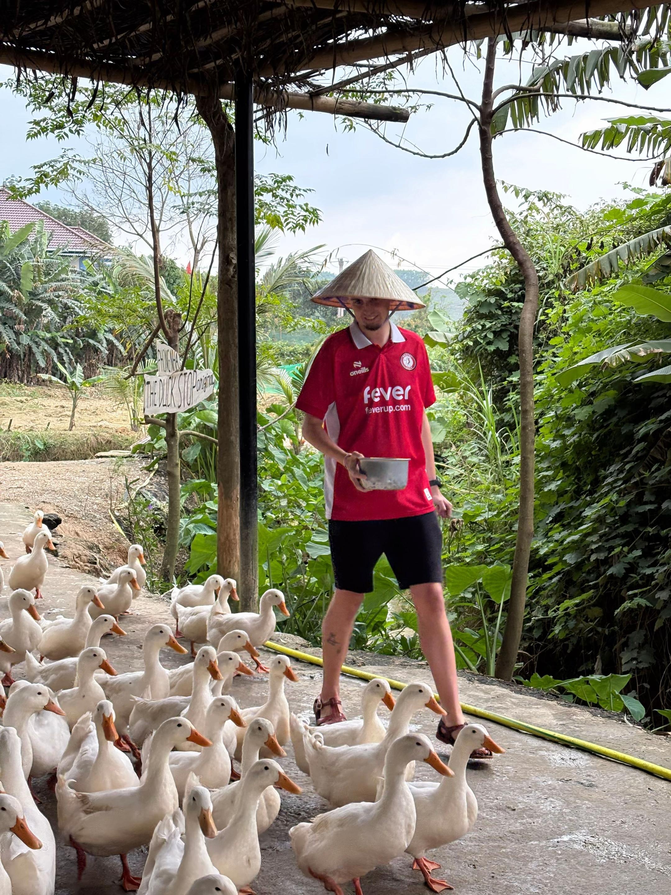 vit,  chan vit,  khach Tay anh 3