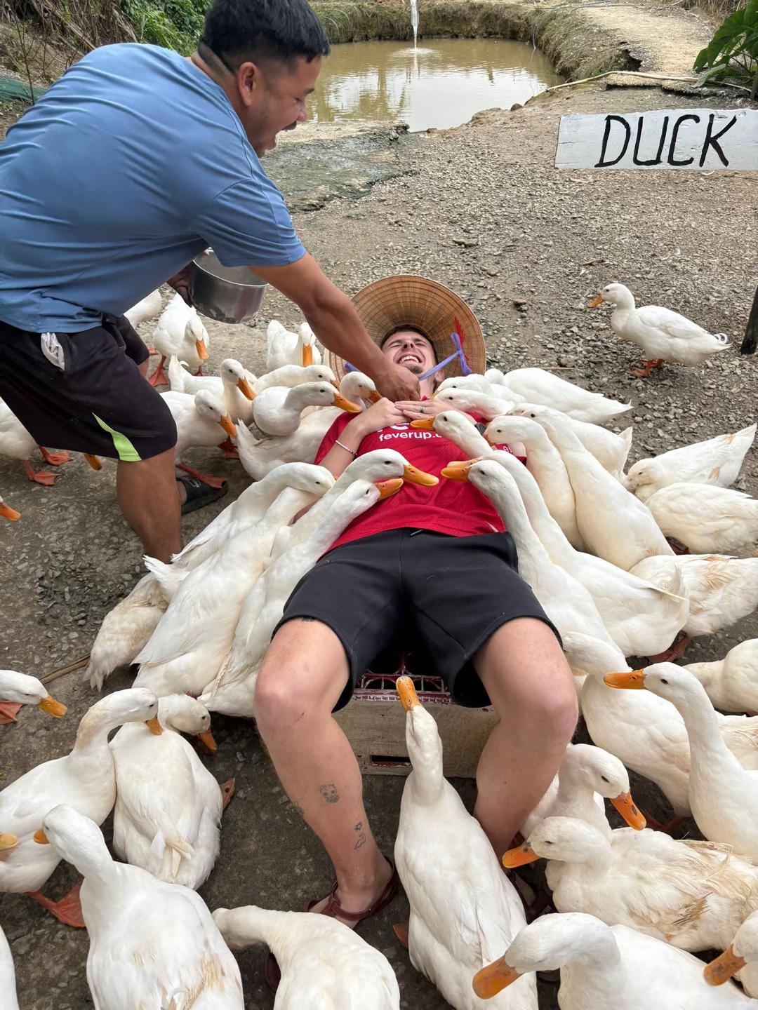 vit,  chan vit,  khach Tay anh 6