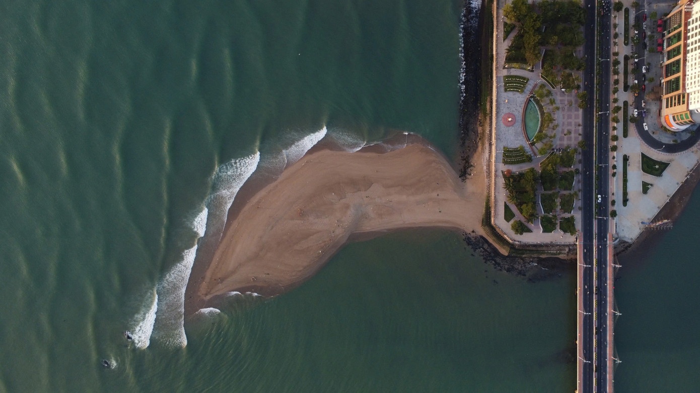 Xuat hien con cat hinh ca heo o bien Nha Trang hinh anh