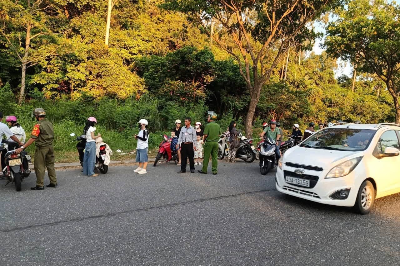 khỉ,  Sơn Tr&agrave; ảnh 2