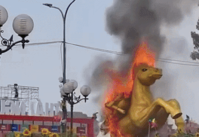 Vi sao linh vat ngua dang thi cong o Thai Nguyen boc chay? hinh anh