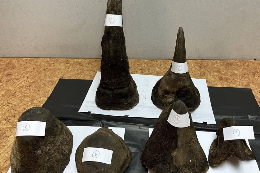 12 kg sung te giac trong hanh ly khach Viet bi bat o san bay Thai Lan hinh anh