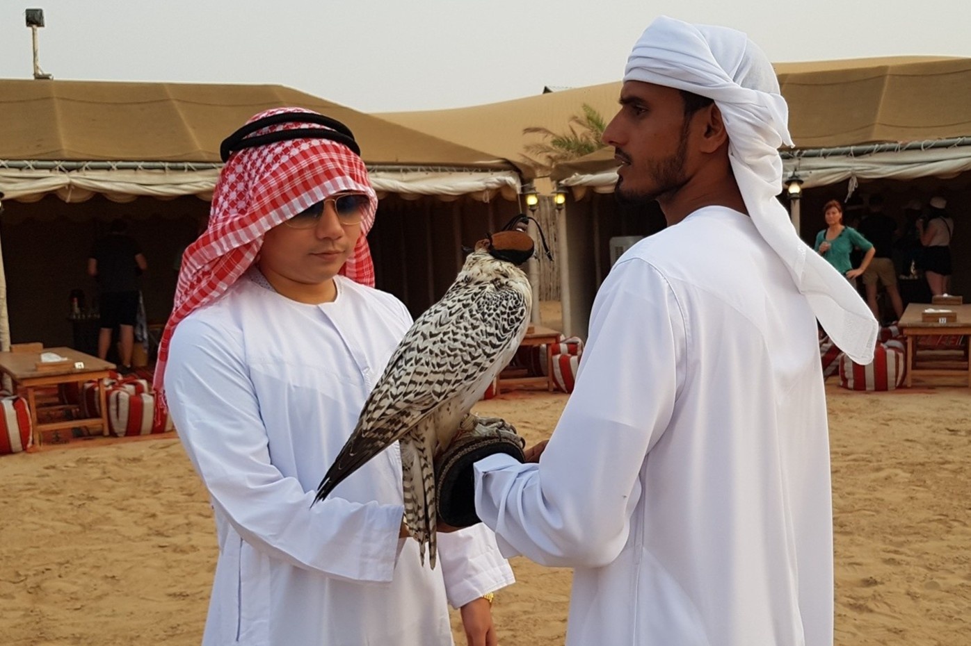 Nghe review du lich nhu Khoa Pug co de lam giau? hinh anh