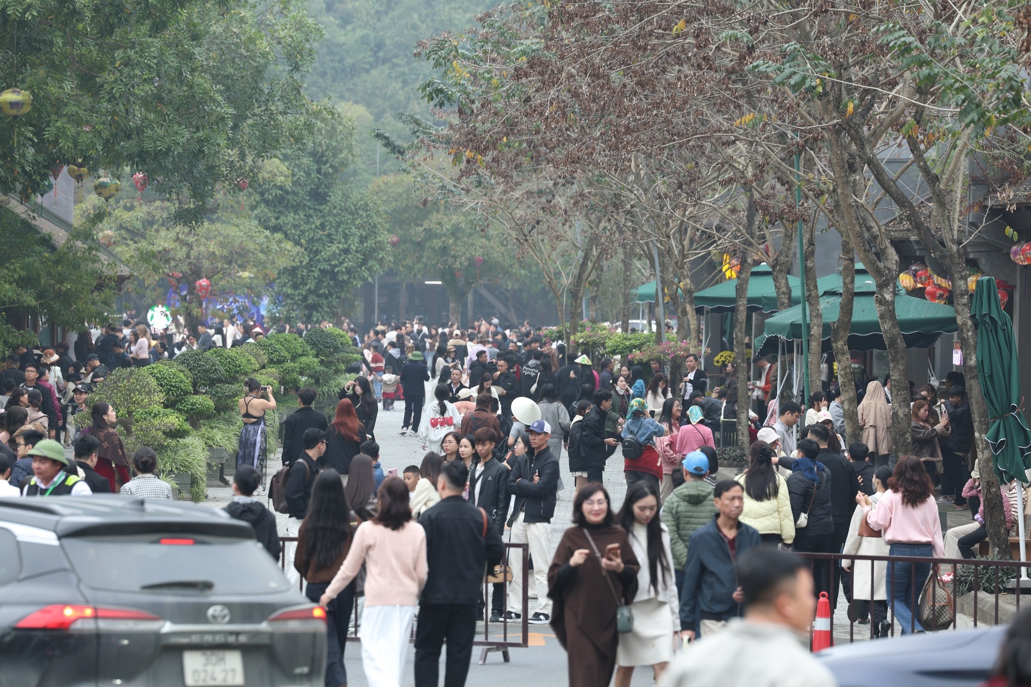 ट्रांग एन फोटो 1 Trang An anh 1