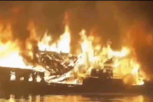 Chay tau du lich tren vinh Ha Long hinh anh