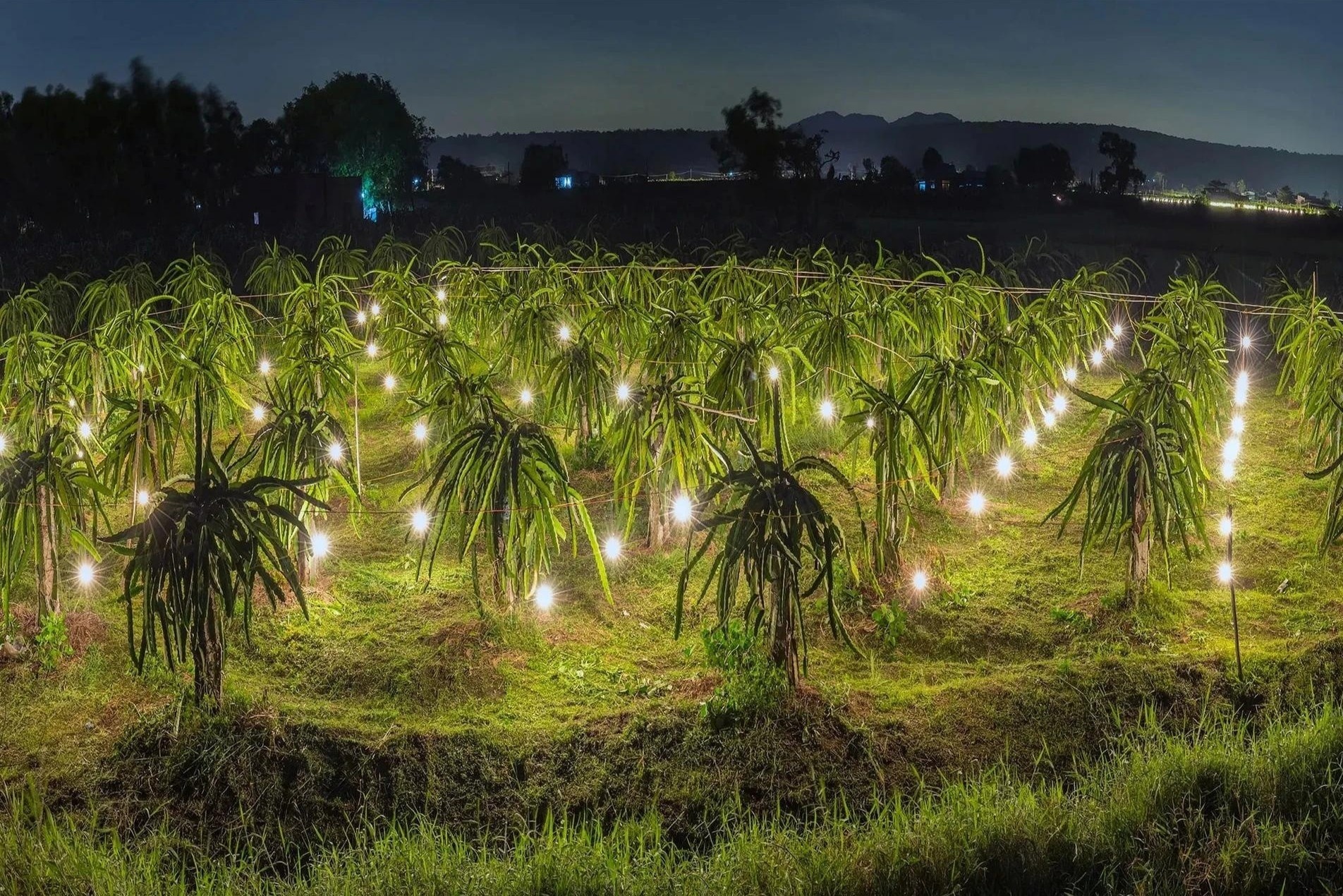 Khoanh khac sung sot tu cua so may bay Ha Noi - TP.HCM hinh anh