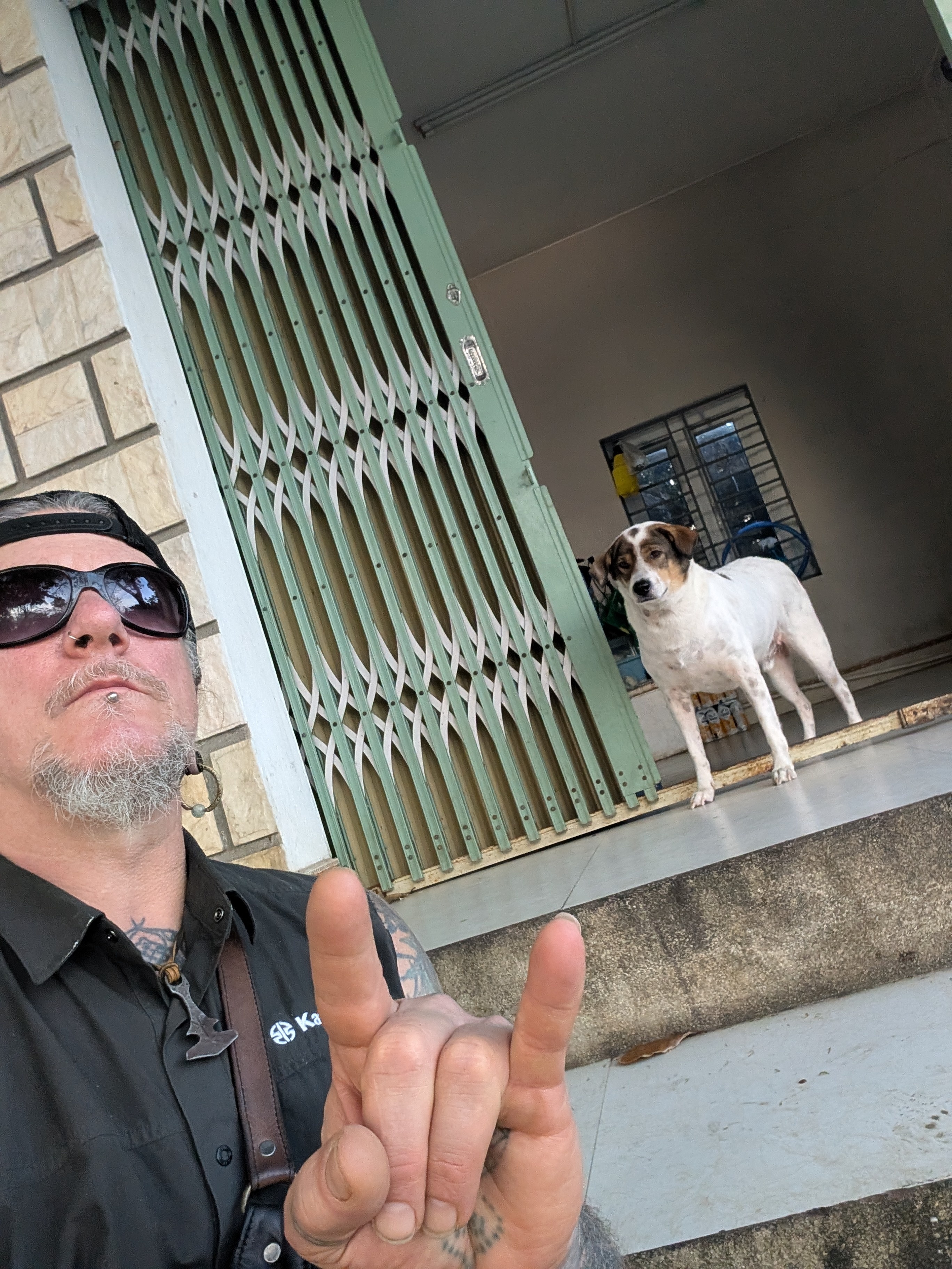 Viet Nam,  cho meo anh 6