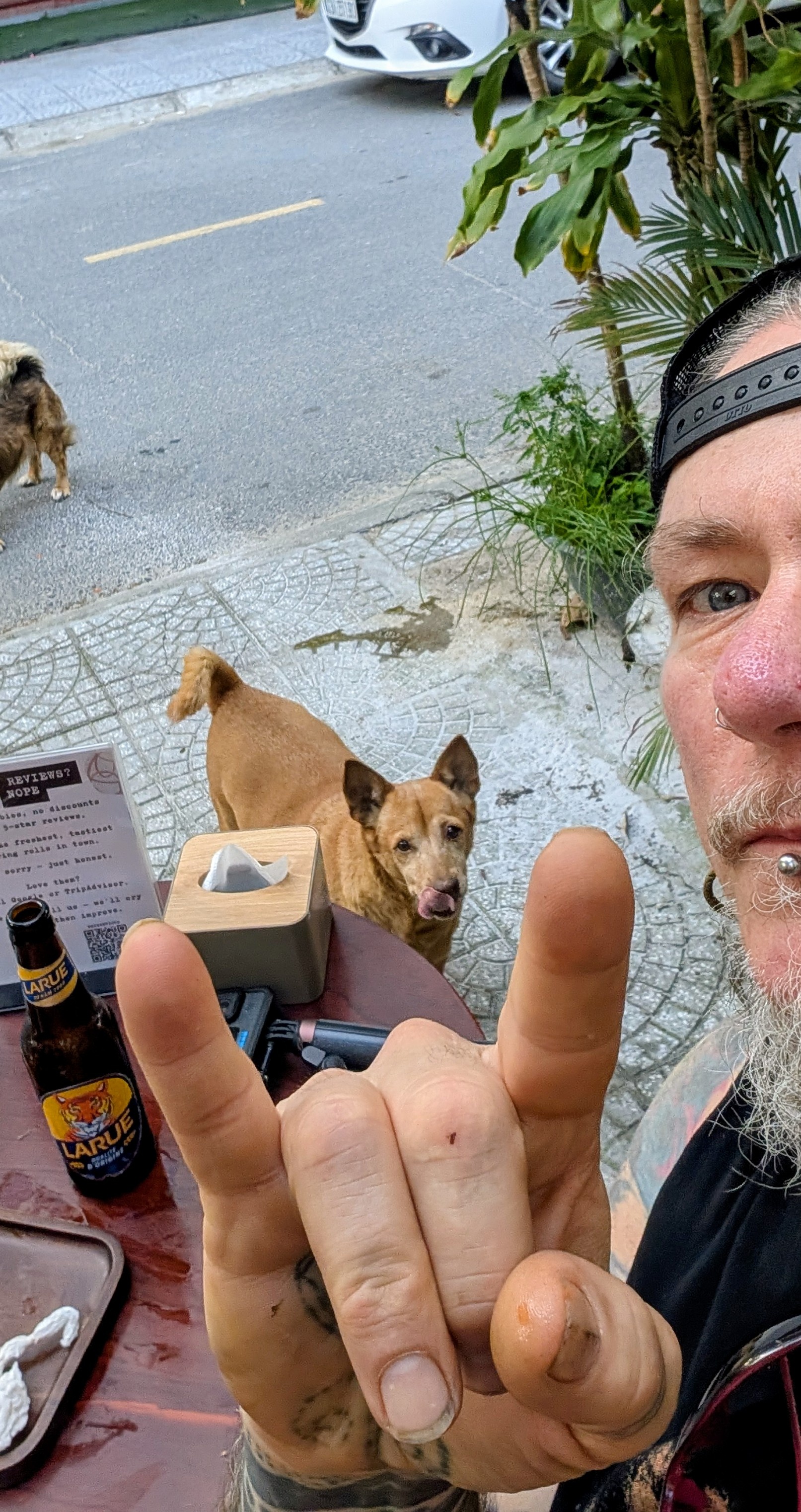 Viet Nam,  cho meo anh 9