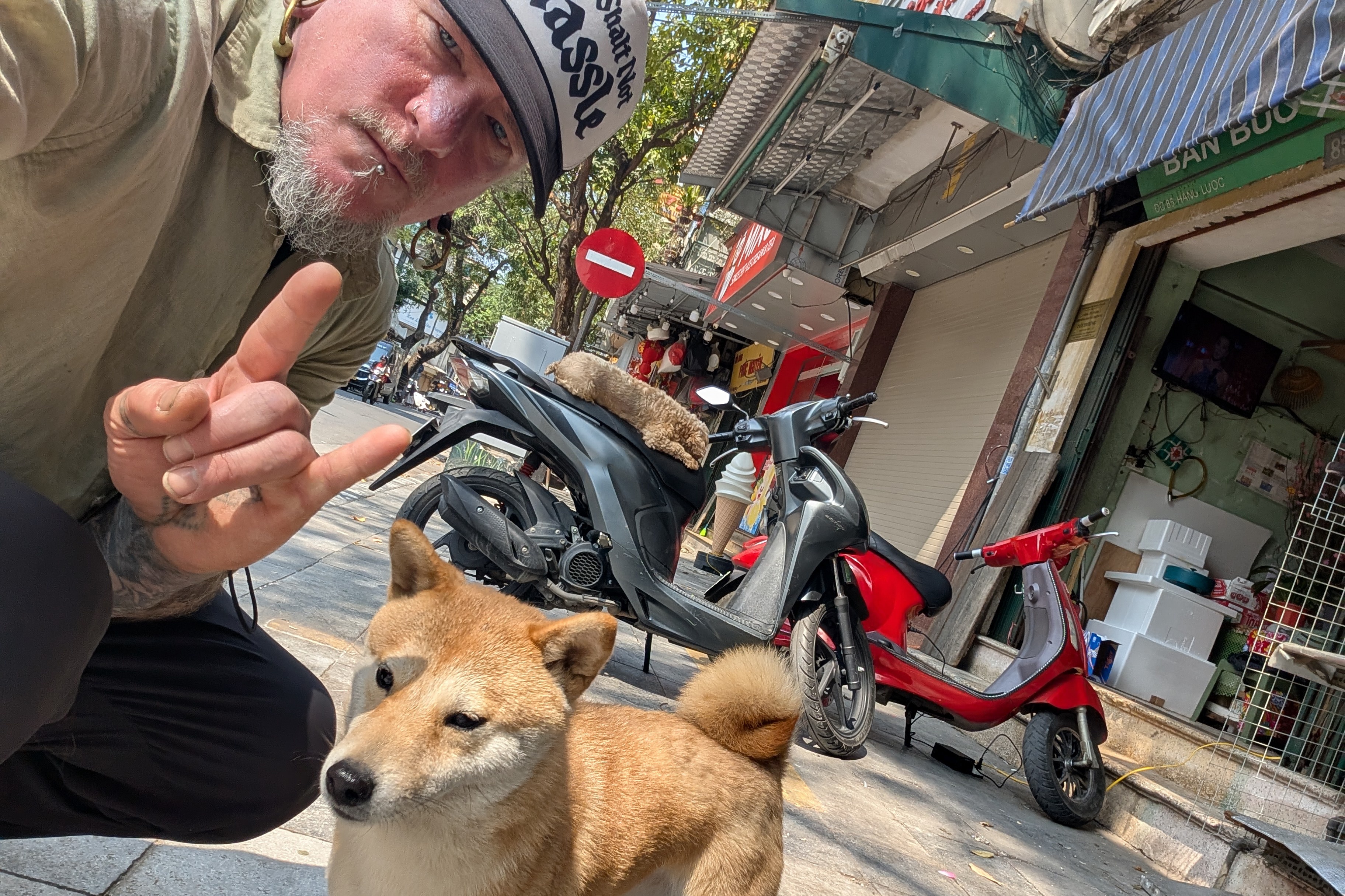 Khach My bat ngo noi tieng vi chup anh voi cho meo tren duong pho Viet hinh anh