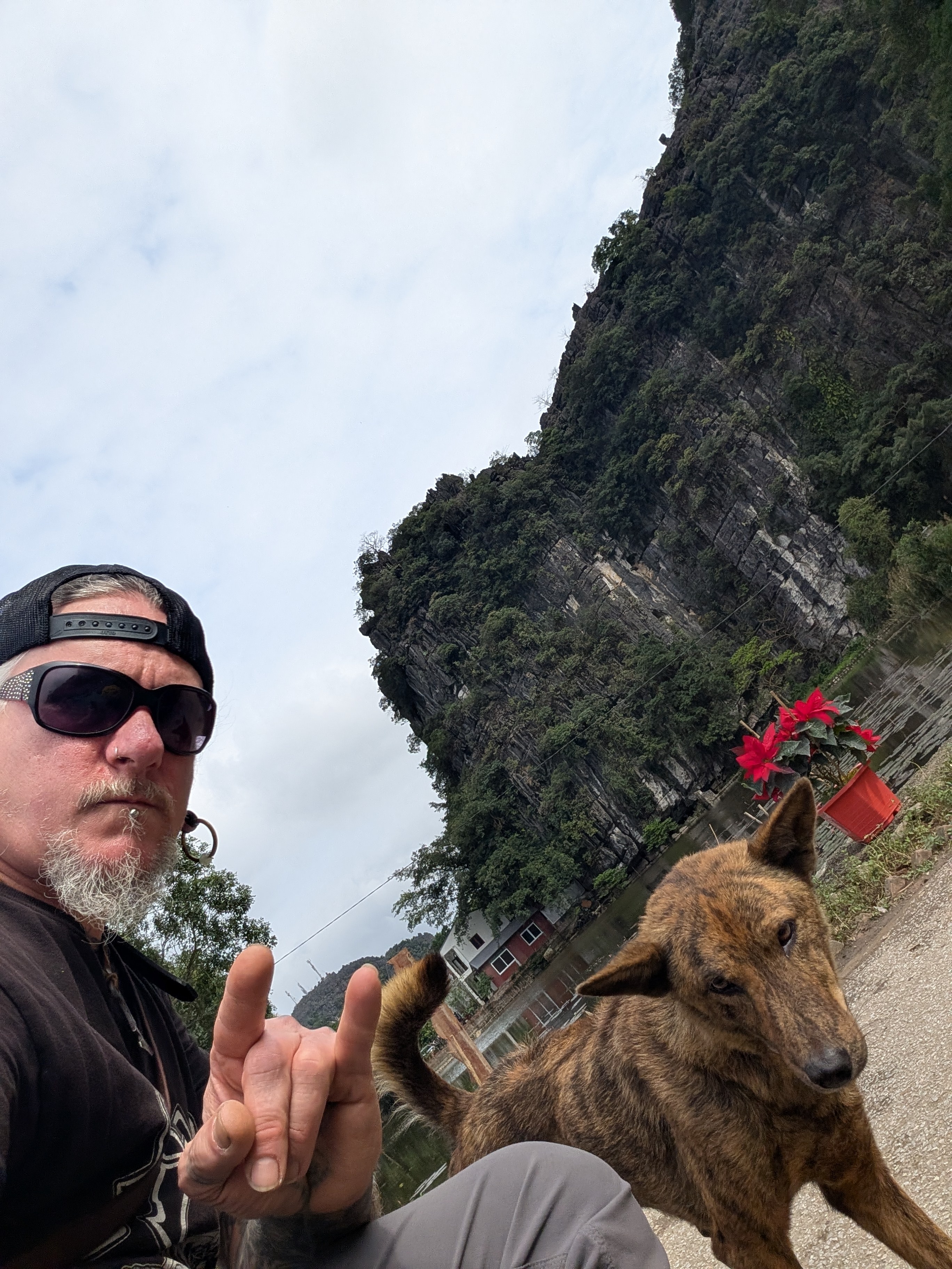 Viet Nam,  cho meo anh 5