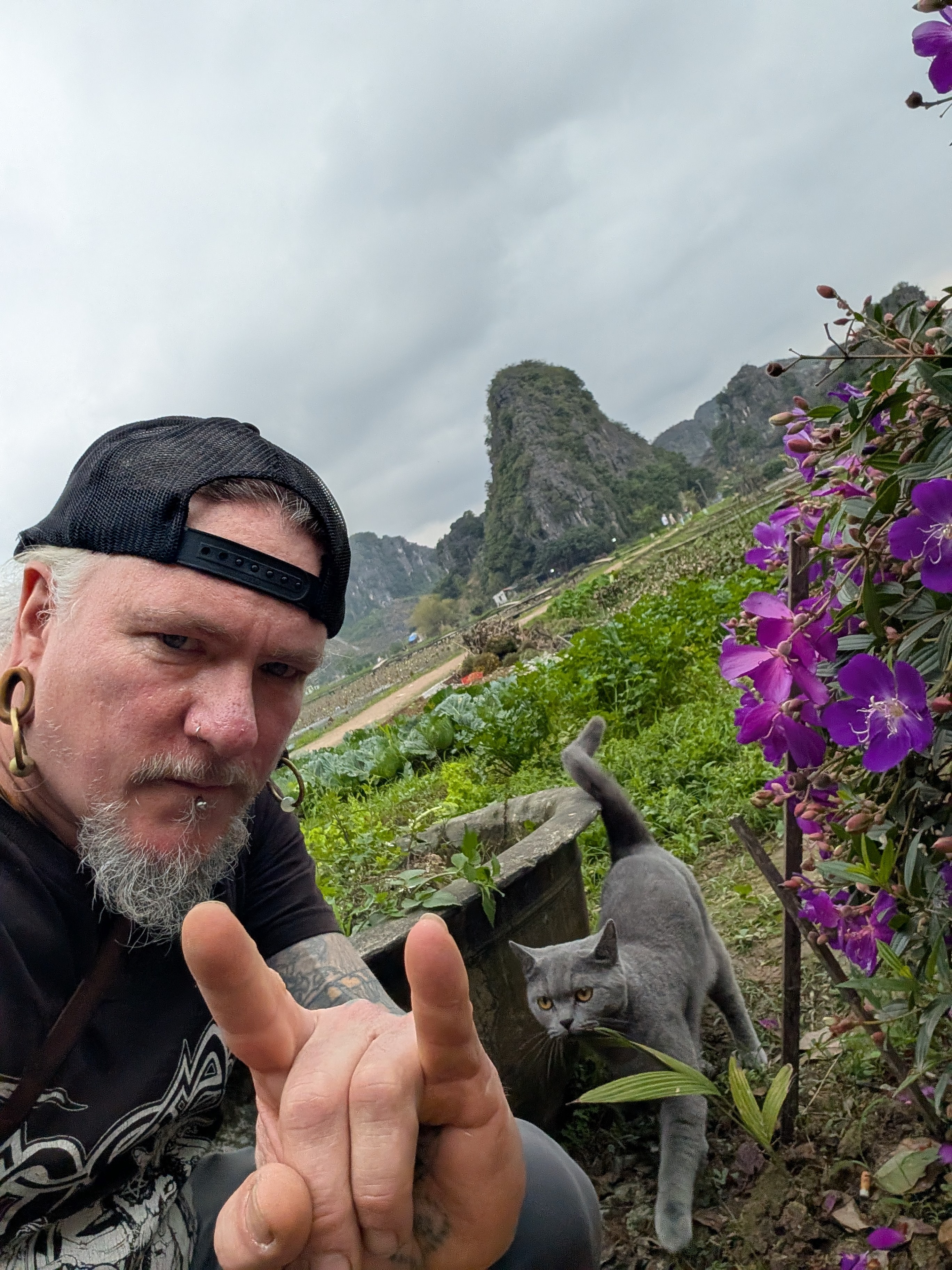 Viet Nam,  cho meo anh 4