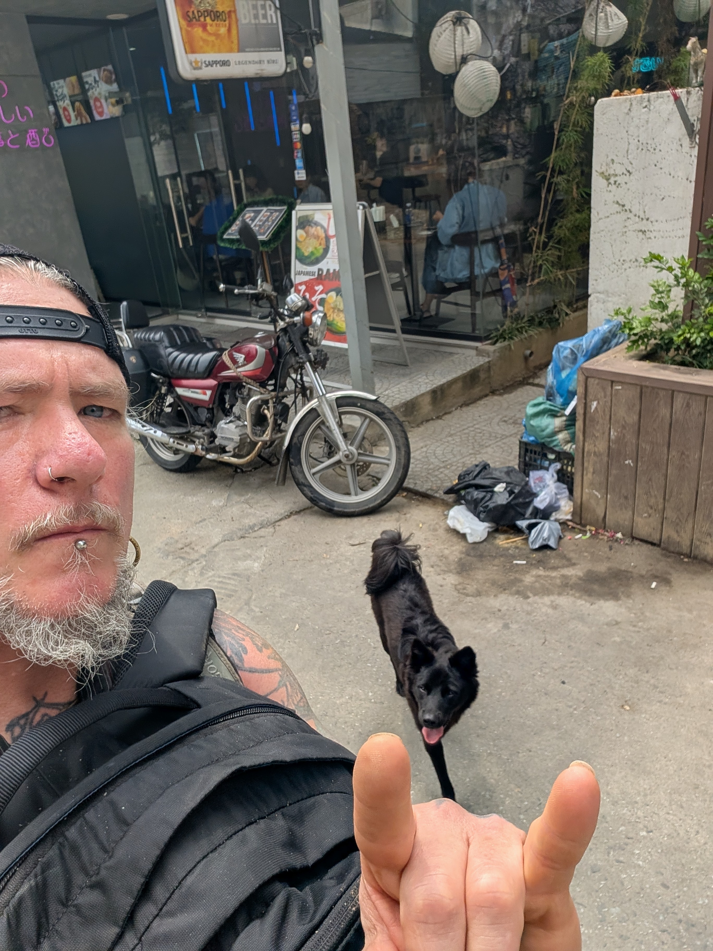 Viet Nam,  cho meo anh 2