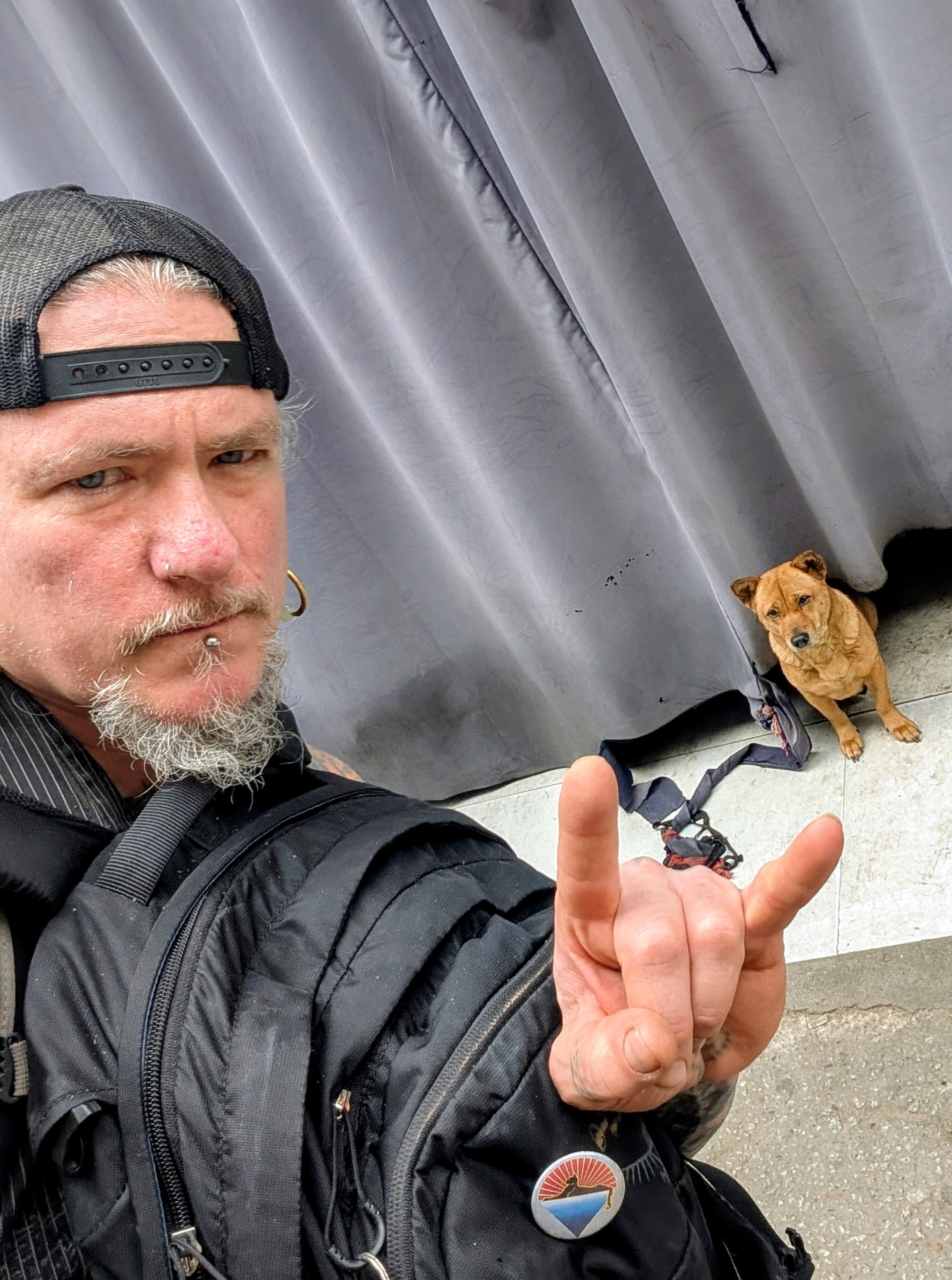 Viet Nam,  cho meo anh 10