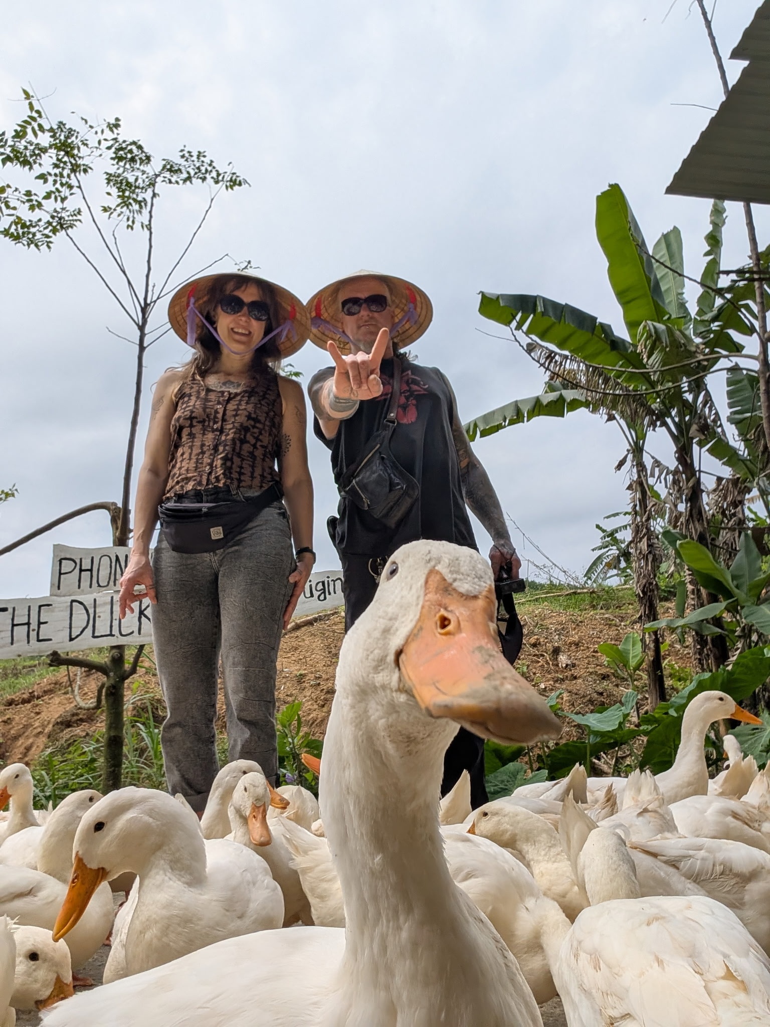 Viet Nam,  cho meo anh 3