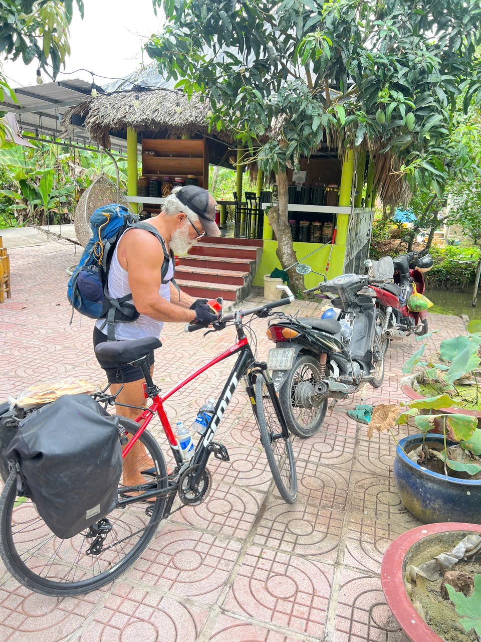 mien Tay,  ong Tay anh 4