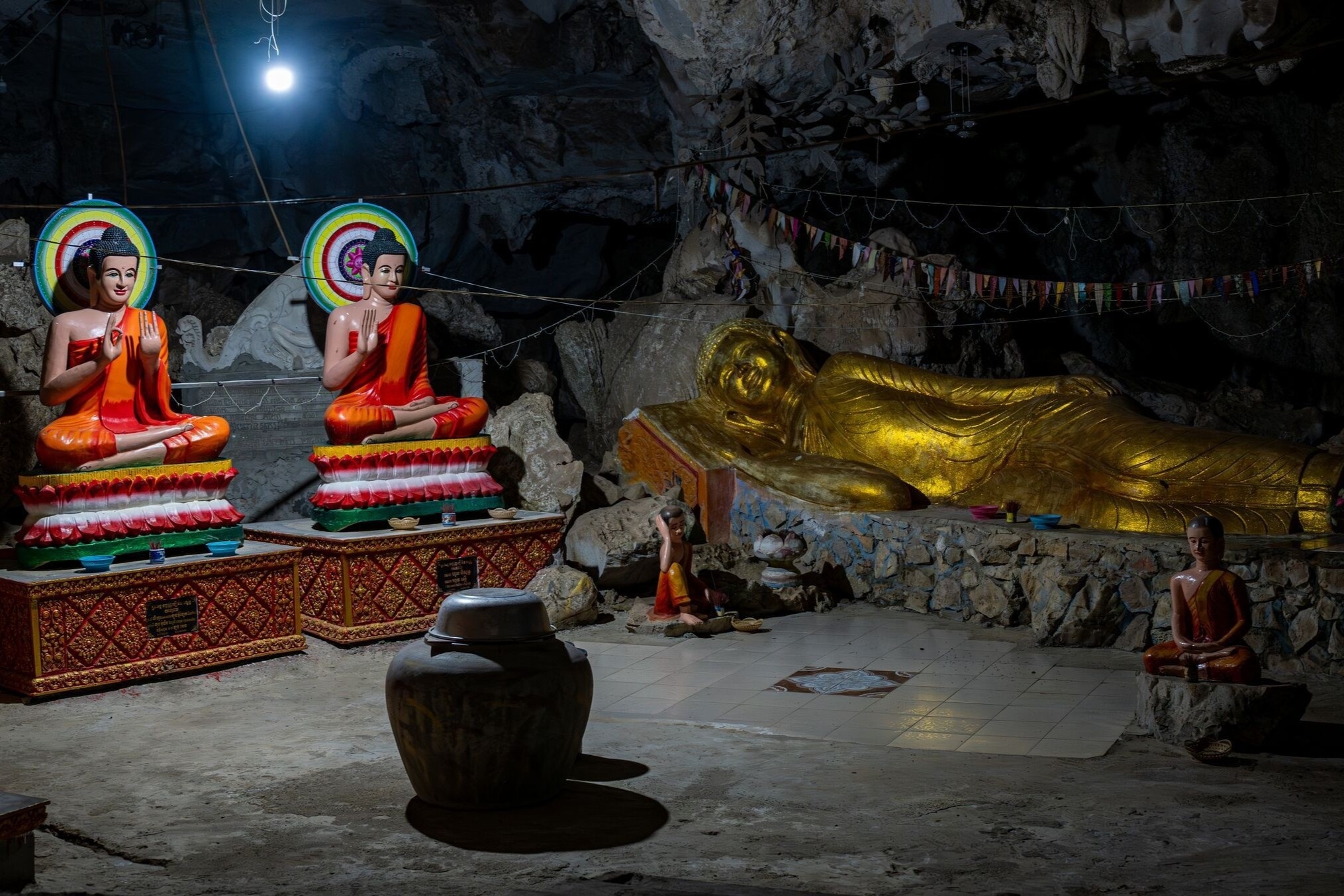 Noi phat hien cac loai doc nhat tren Trai Dat o Campuchia hinh anh