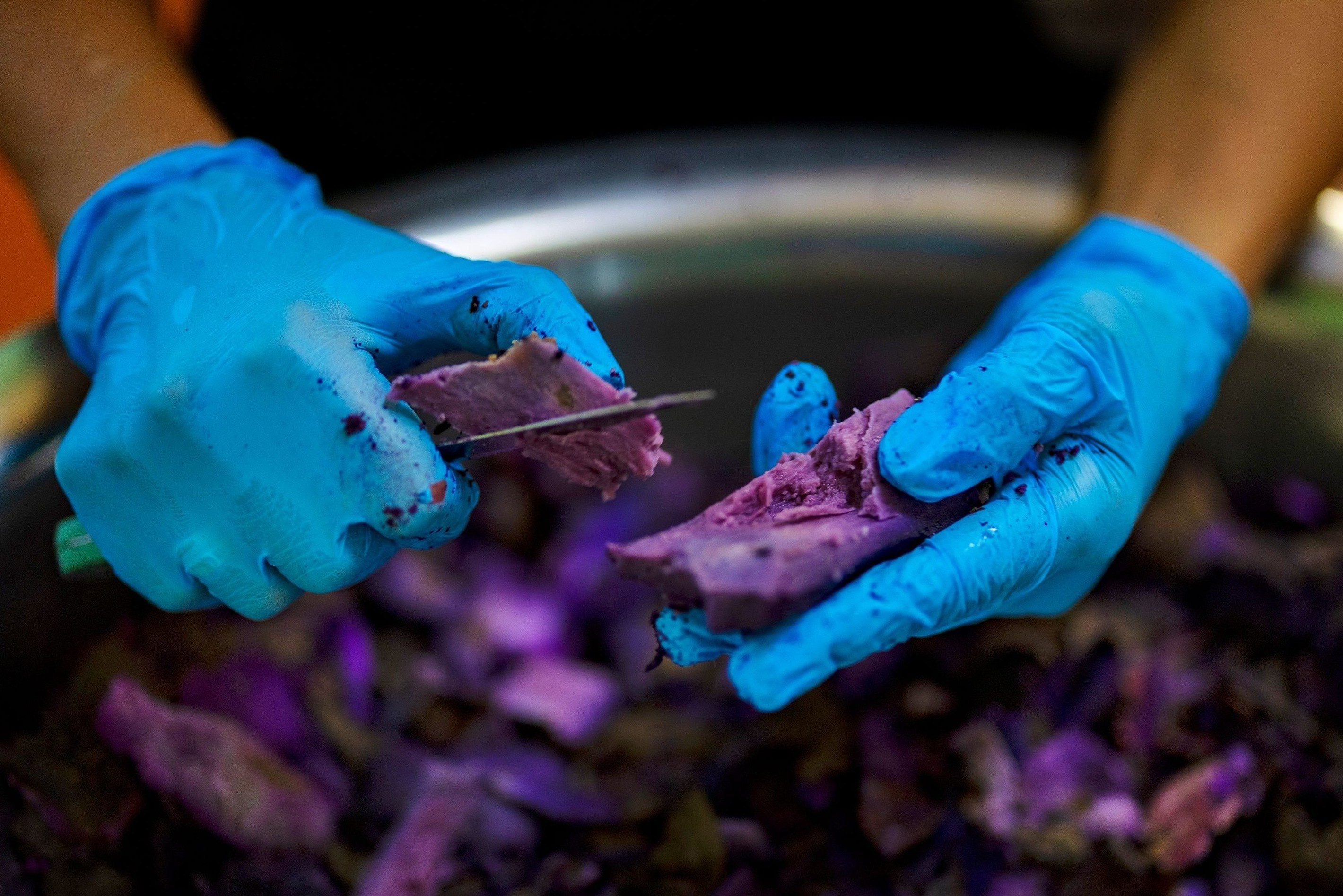 Philippines lao dao vi thu nguyen lieu 'nhuom tim' toan cau hinh anh