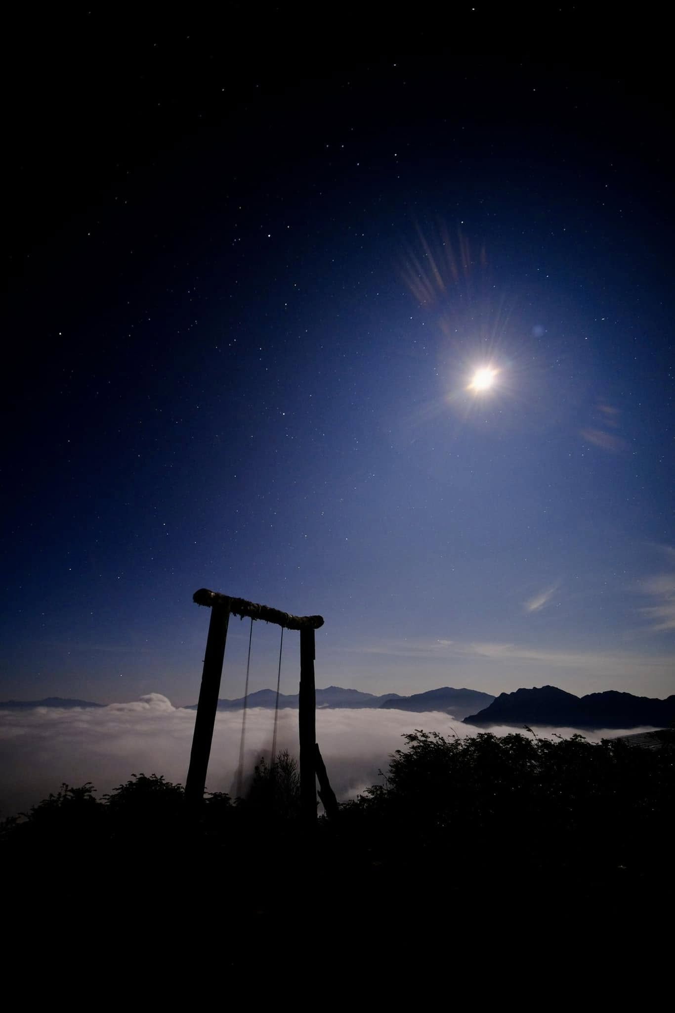 Miss World Vietnam,  Ta Chi Nhu anh 13