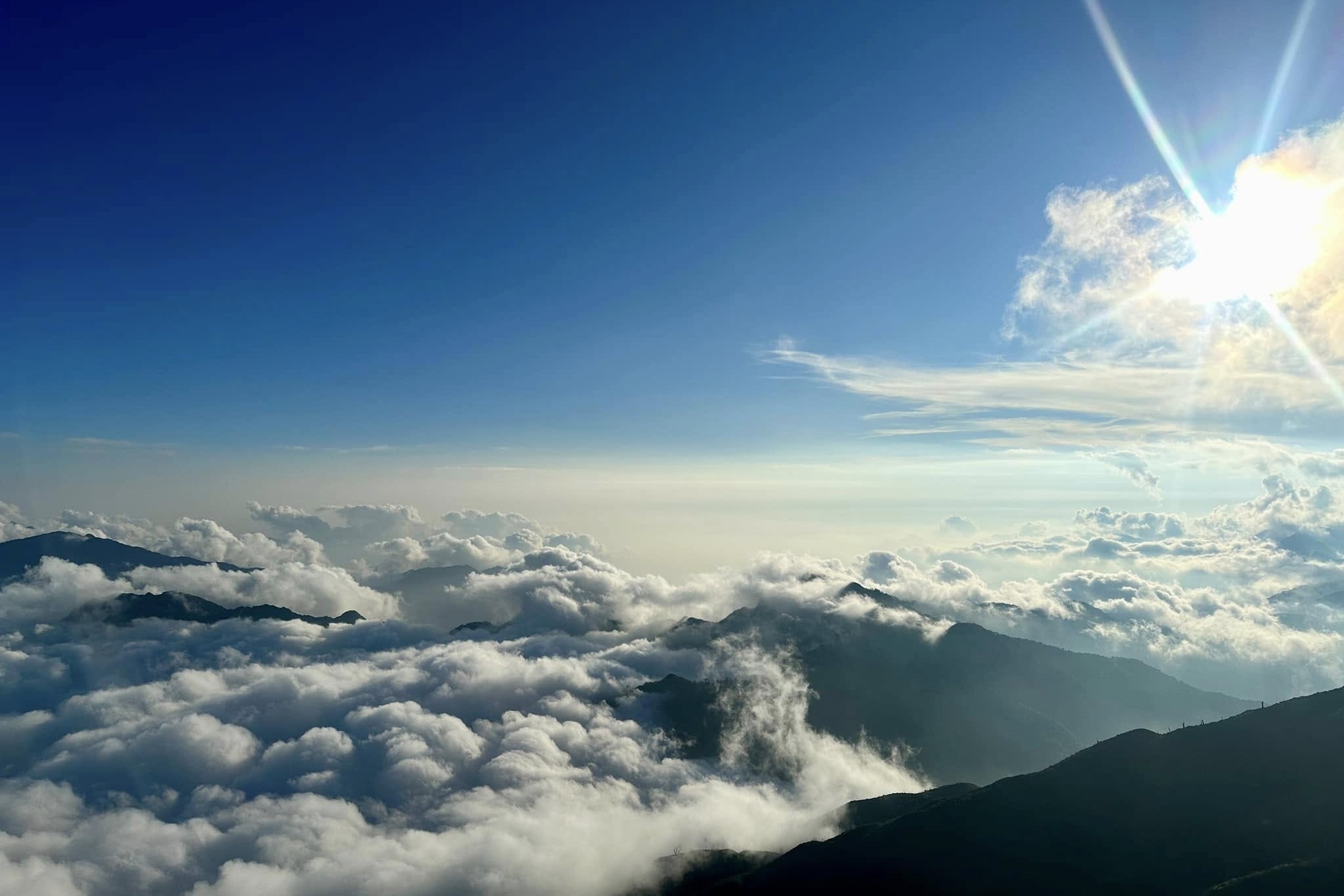 Miss World Vietnam,  Ta Chi Nhu anh 11