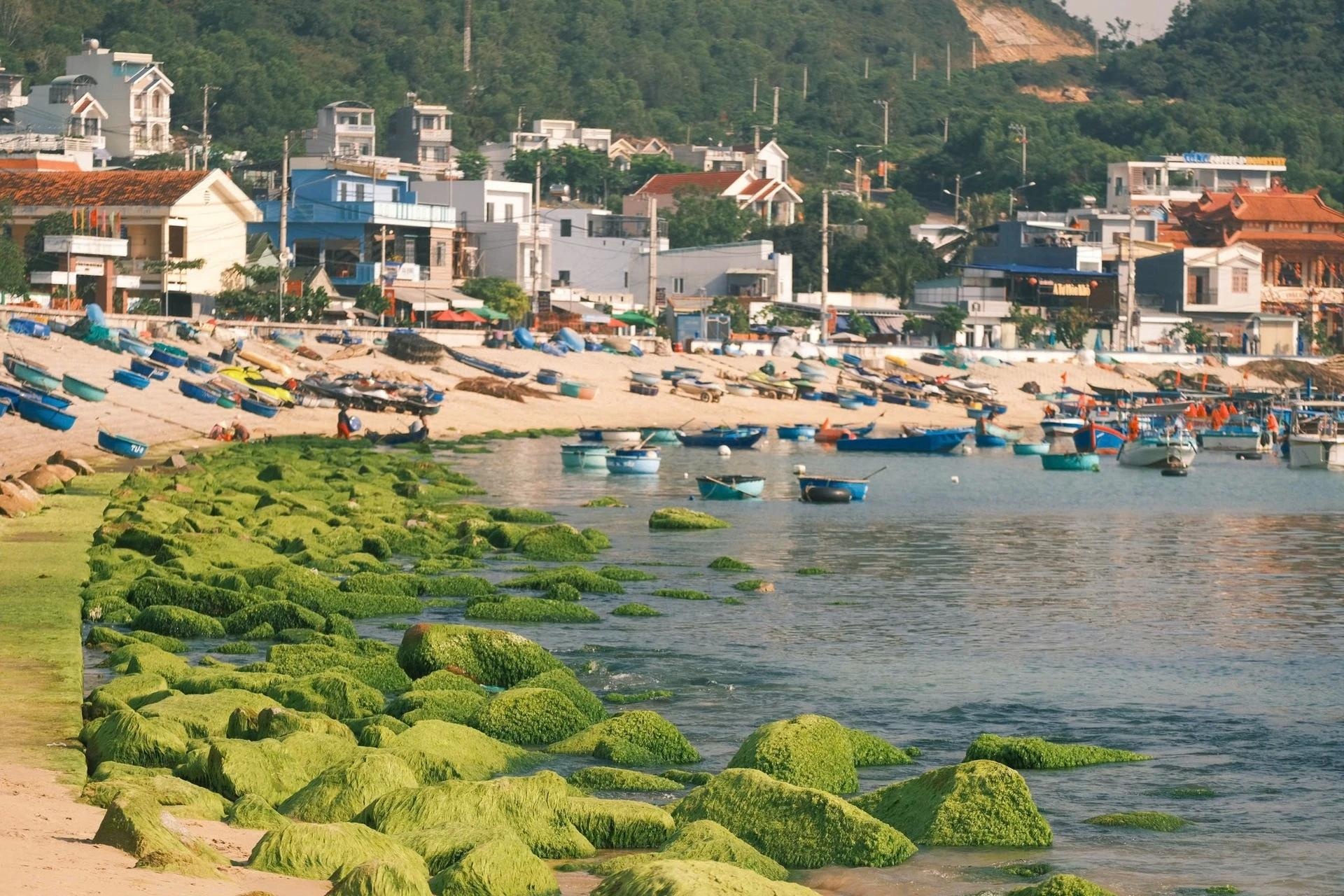 Gieng Tien,  Juky San anh 4