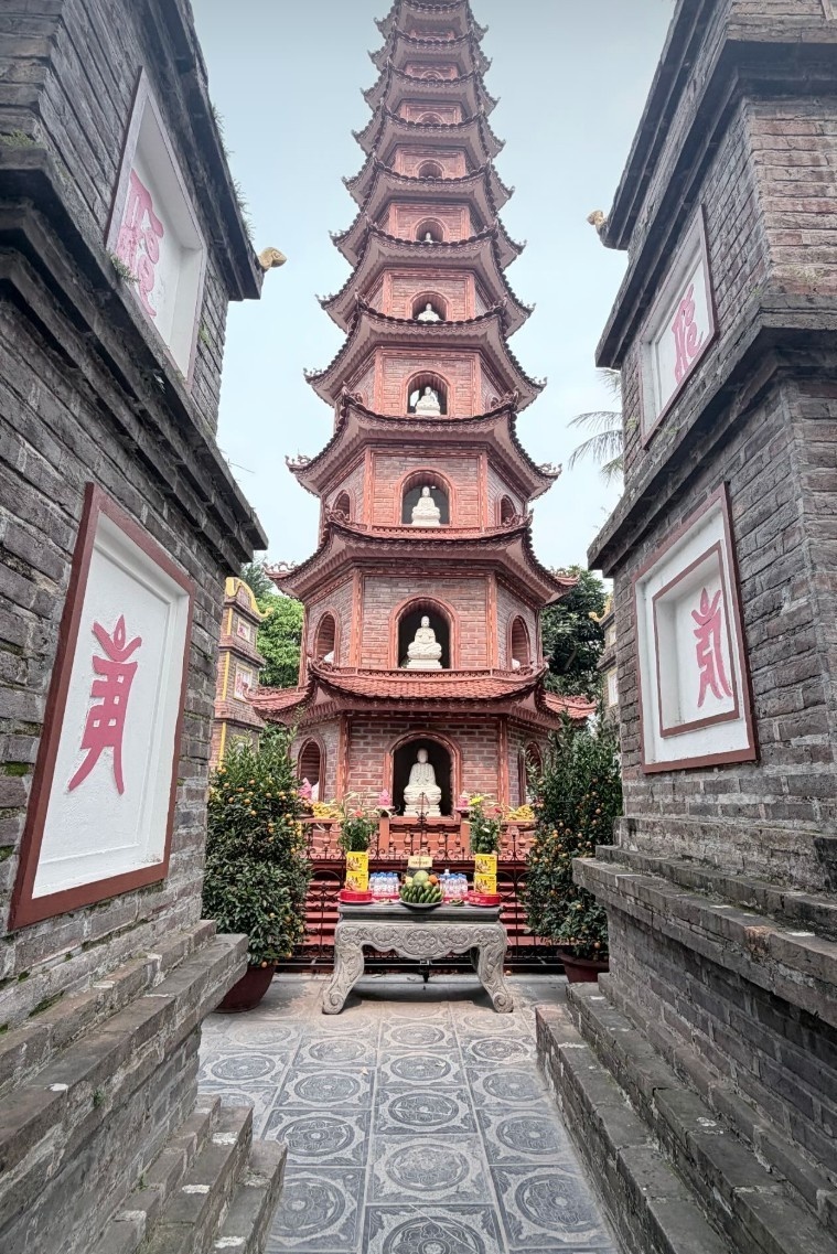 pickleball ảnh 4 pickleball anh 4