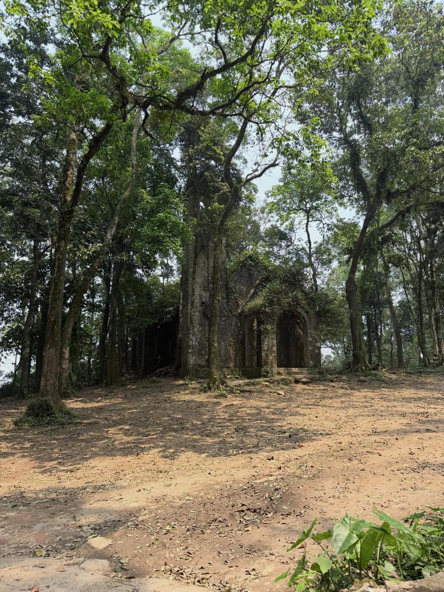 dia dao Cu Chi anh 1
