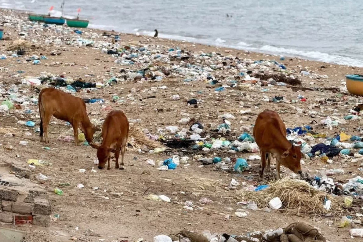 Rac thai bua vay bai bien hang km o bai bien Lam Dong hinh anh