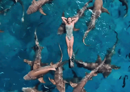 Anh Vien boi cung ca map o bien Maldives hinh anh