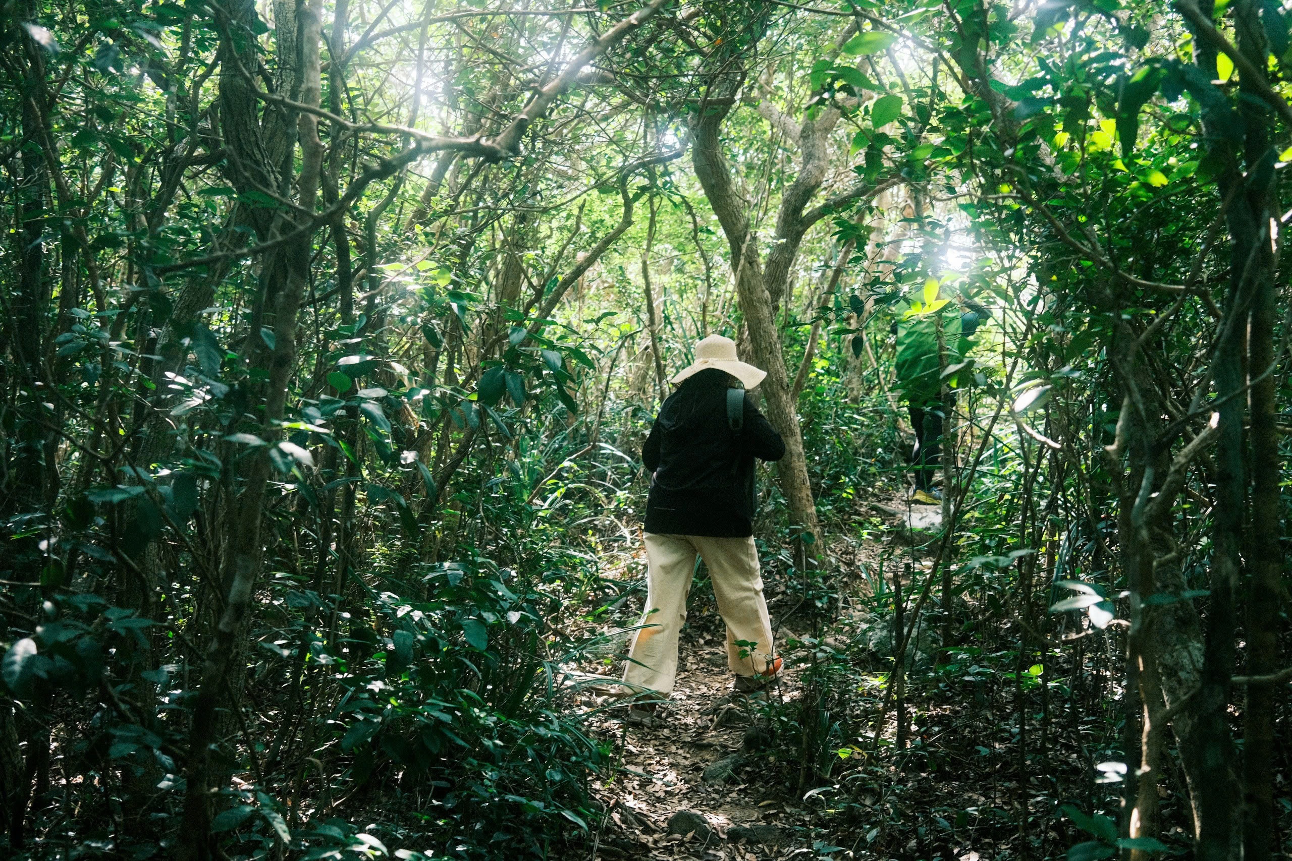 Tu vu nam sinh mat tich o Tam Dao: 'Leo nui khong phai tro dua' hinh anh