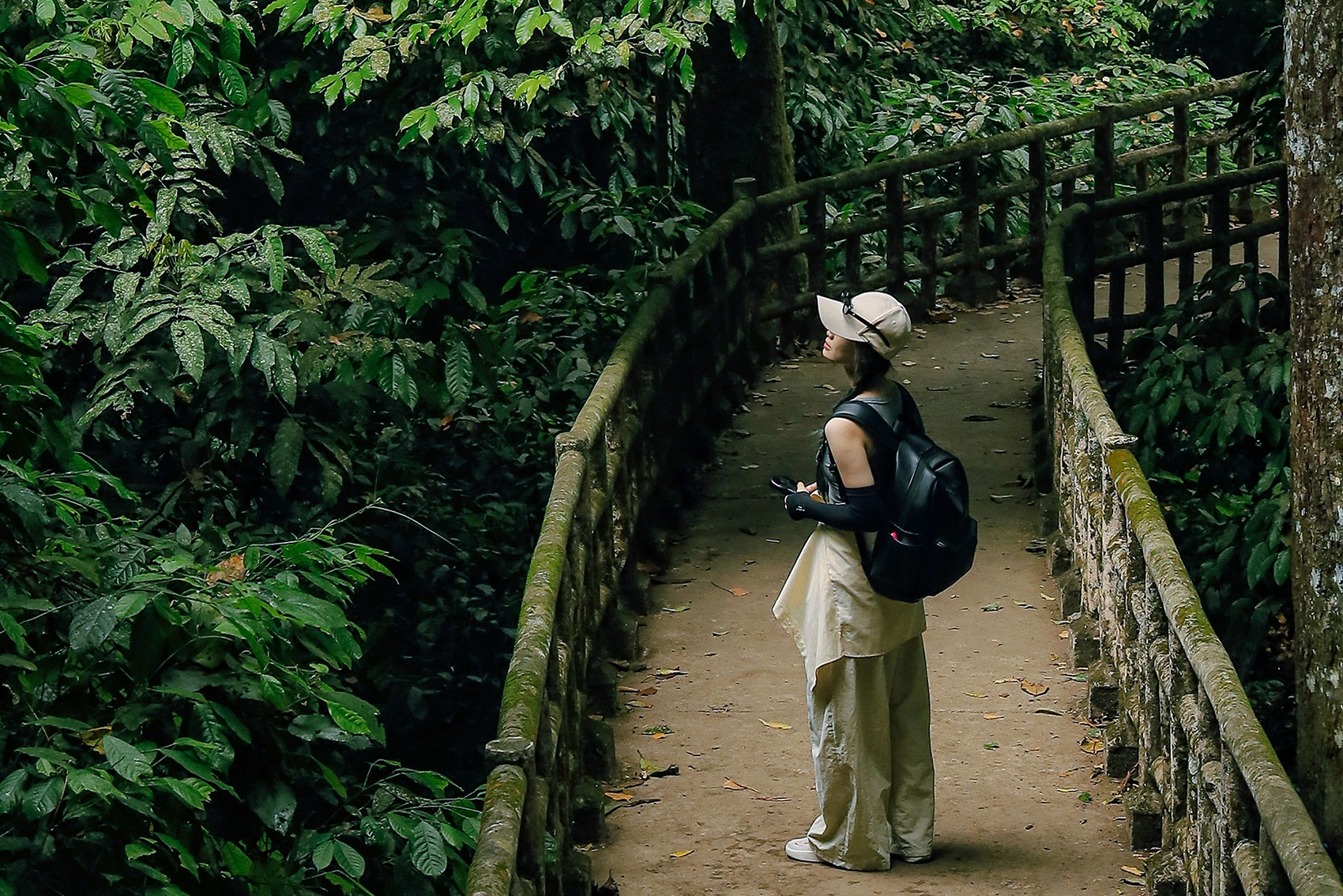 Dieu bi 'bo quen' tai VQG Cuc Phuong hinh anh