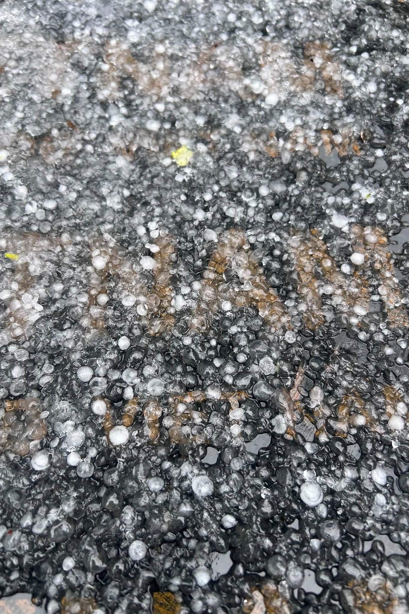 mua da,  Fansipan anh 2