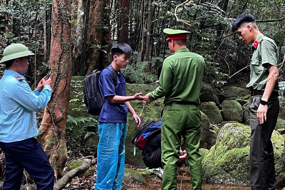 Canh bao sau vu nam sinh di lac, bi ong dot trong rung Tay Yen Tu hinh anh