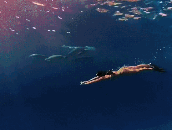 20 giay Anh Vien 'tha minh' giua dan ca map o Maldives hinh anh