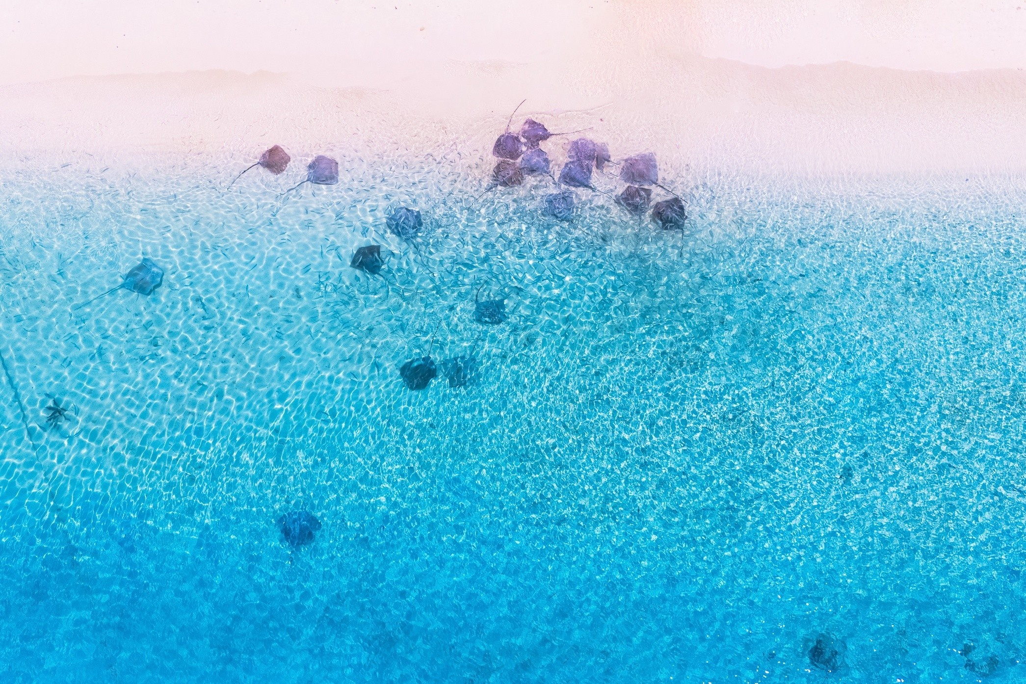 Anh Vien,  Maldives anh 6