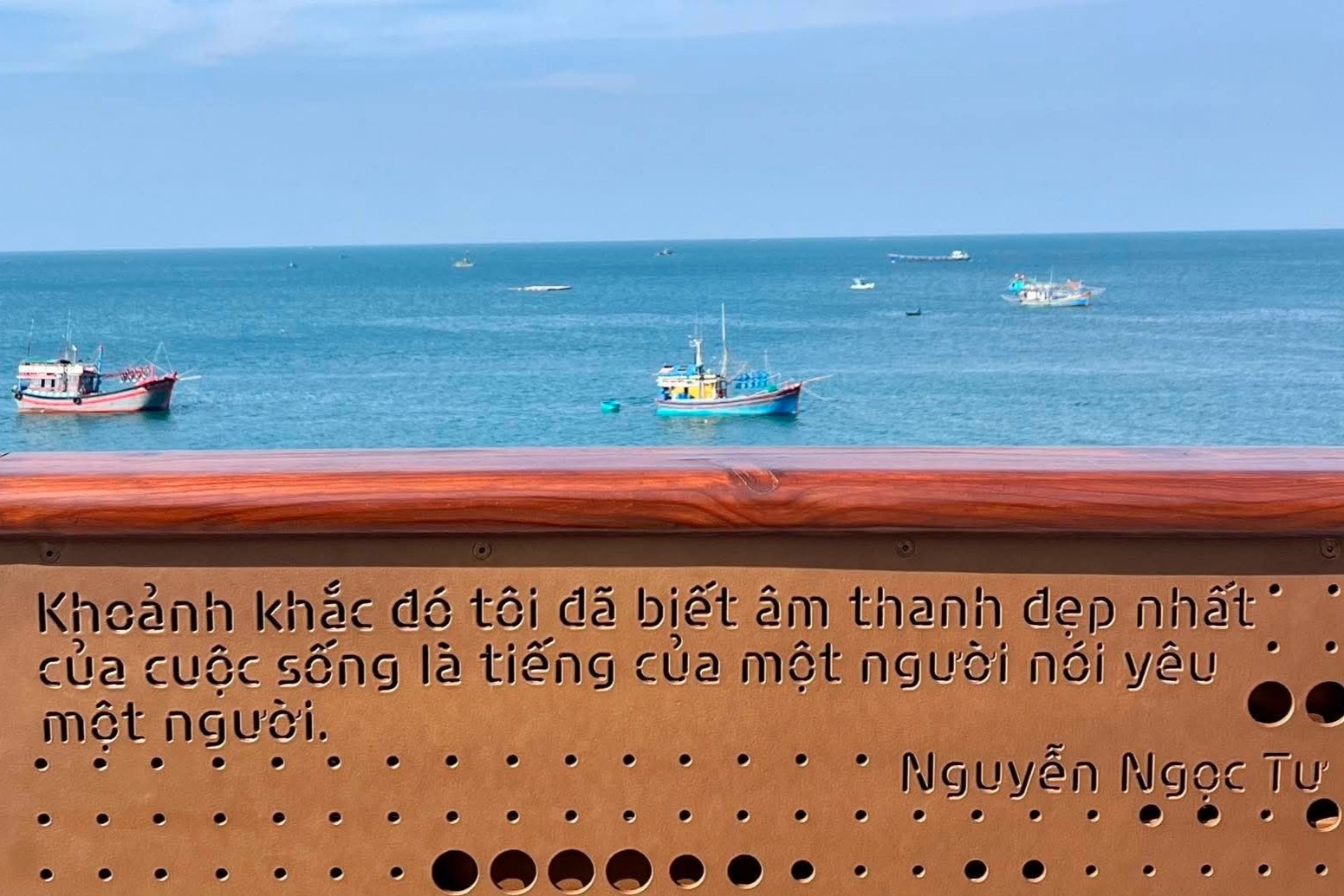 Cau van dac biet tren cay cau 'san hoang hon' o Phu Quoc hinh anh