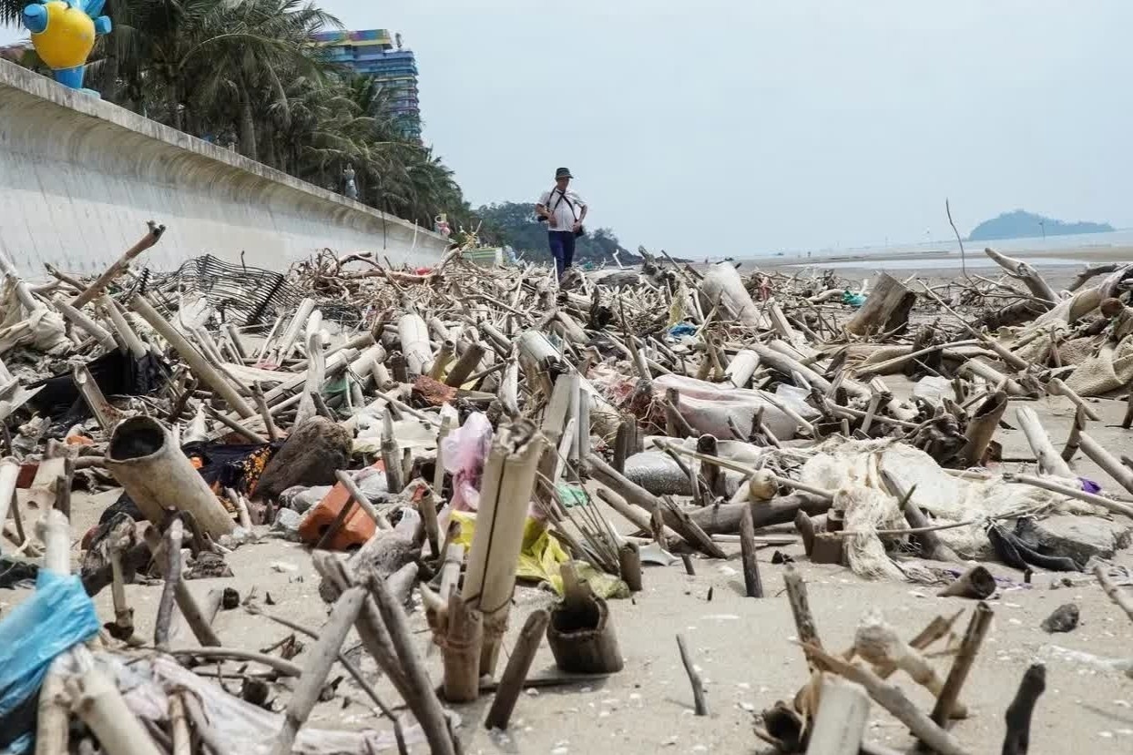 Tin moi canh tuong 'kinh hoang' o bai bien noi tieng Thanh Hoa hinh anh