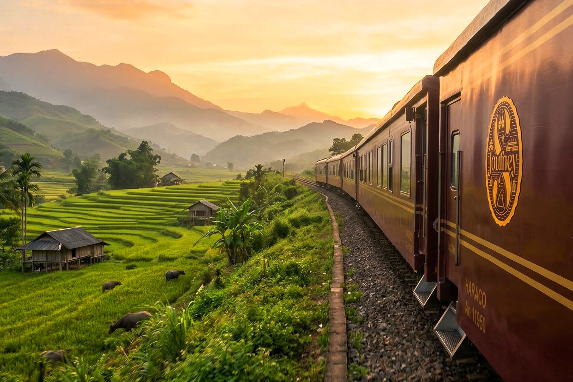 Nhung doan tau 'quy toc' Viet Nam, gia ve cao nhat hon 200 trieu dong hinh anh