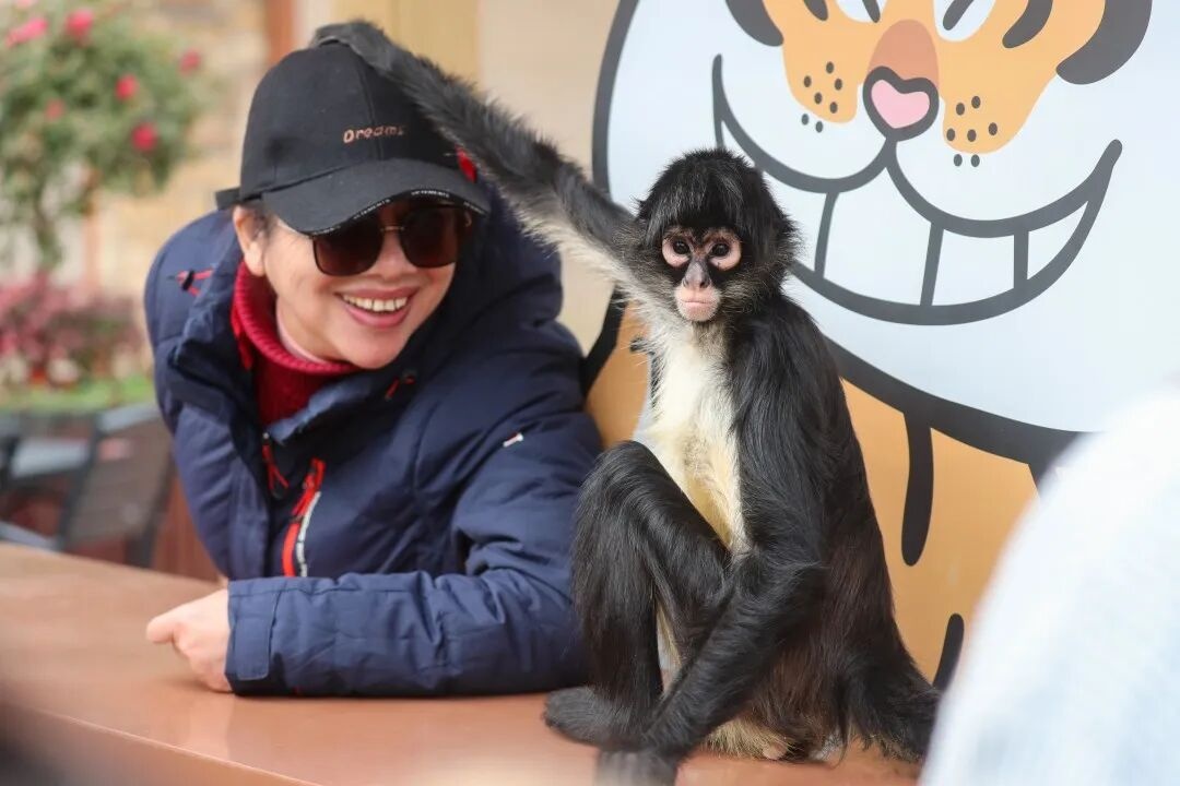 khi anh 4