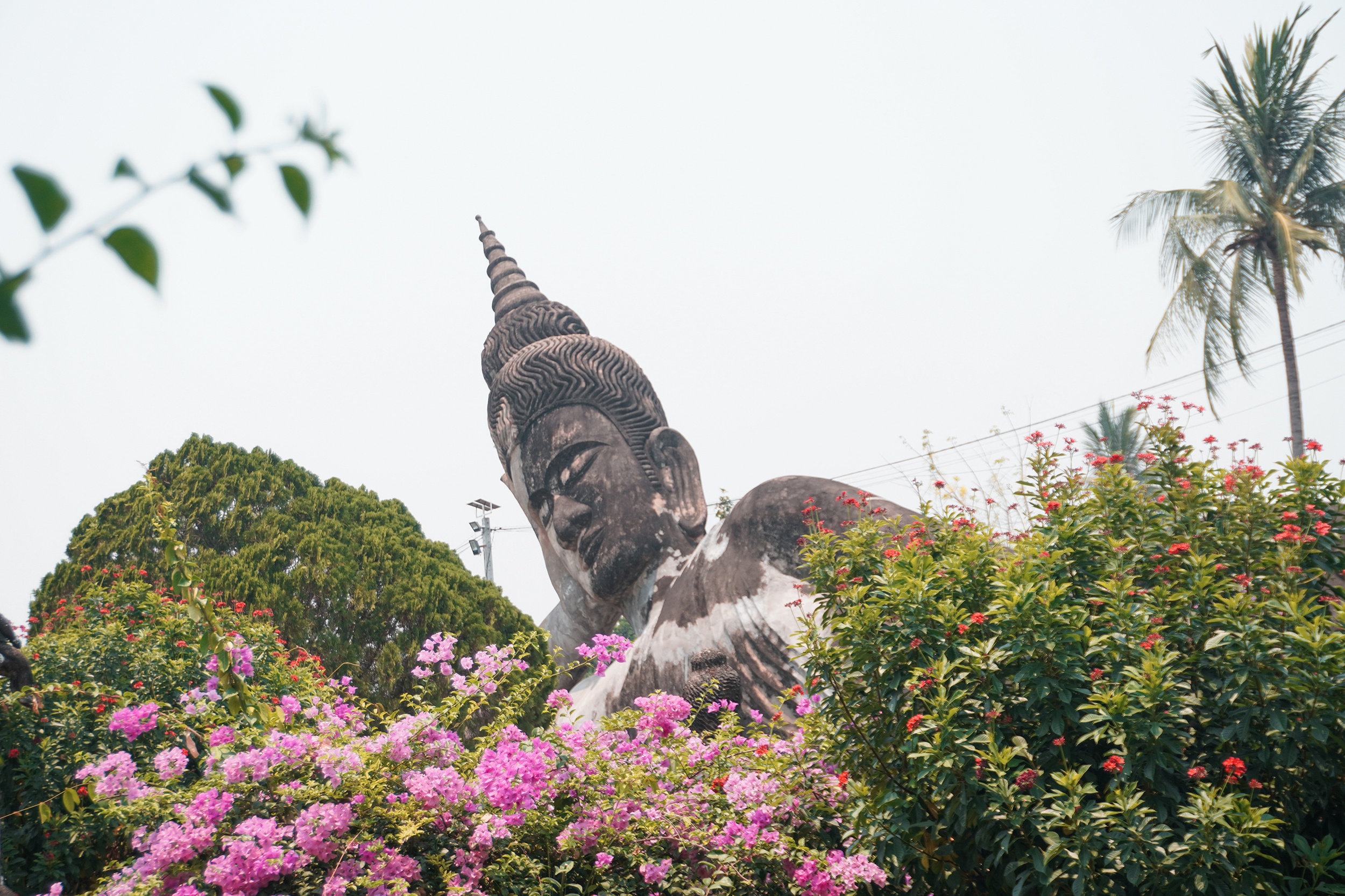 Lào ảnh 8 Lao anh 8