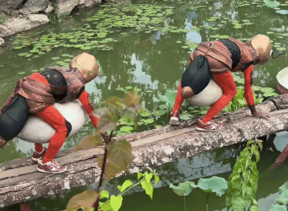 Vu dieu 'dan kien tha moi' gay chu y o khu du lich Ninh Binh hinh anh