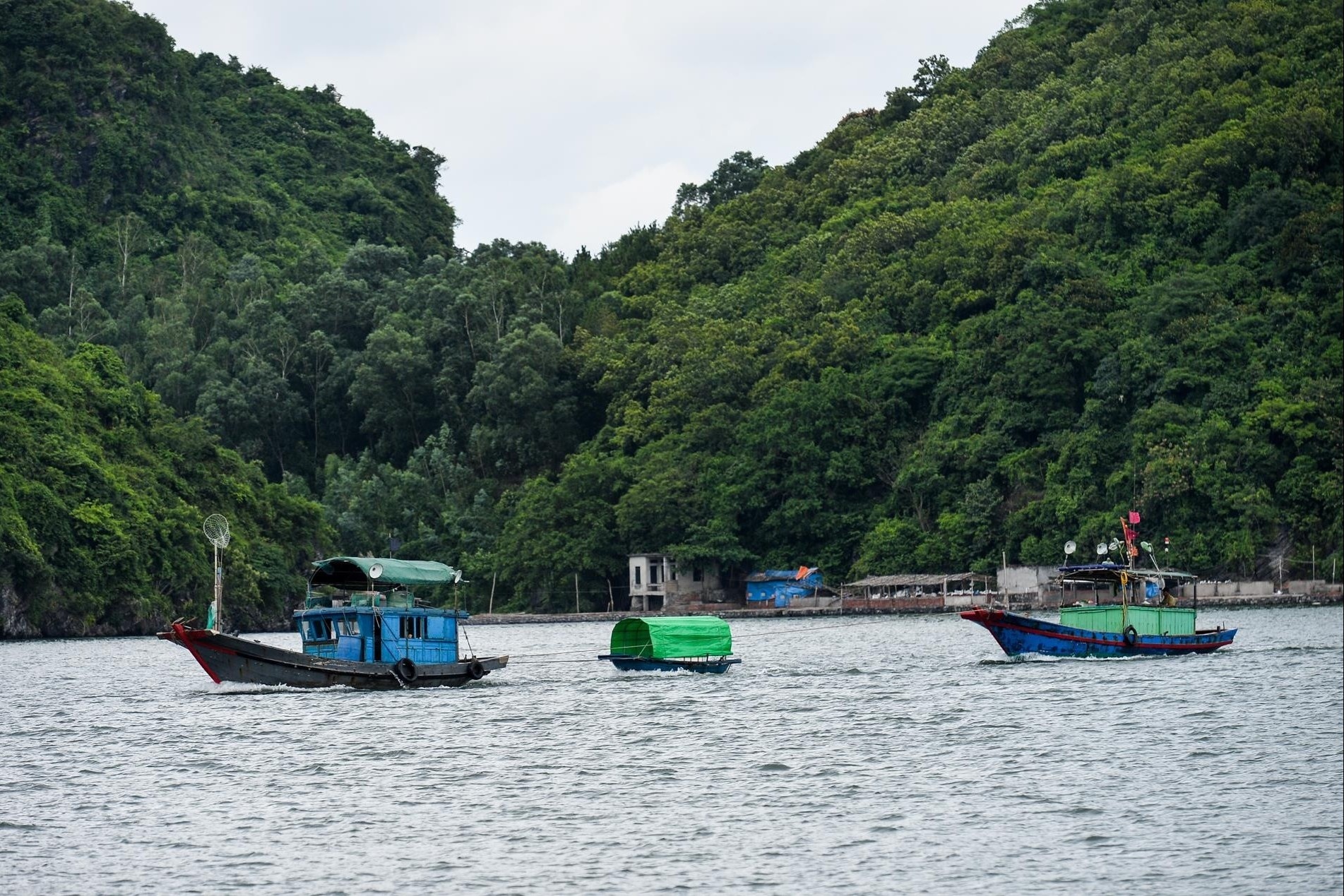 dao,  Cat Ba anh 2