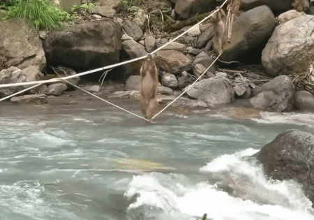 Man vuot song bang day nhu phim hanh dong cua dan khi o Trung Quoc hinh anh