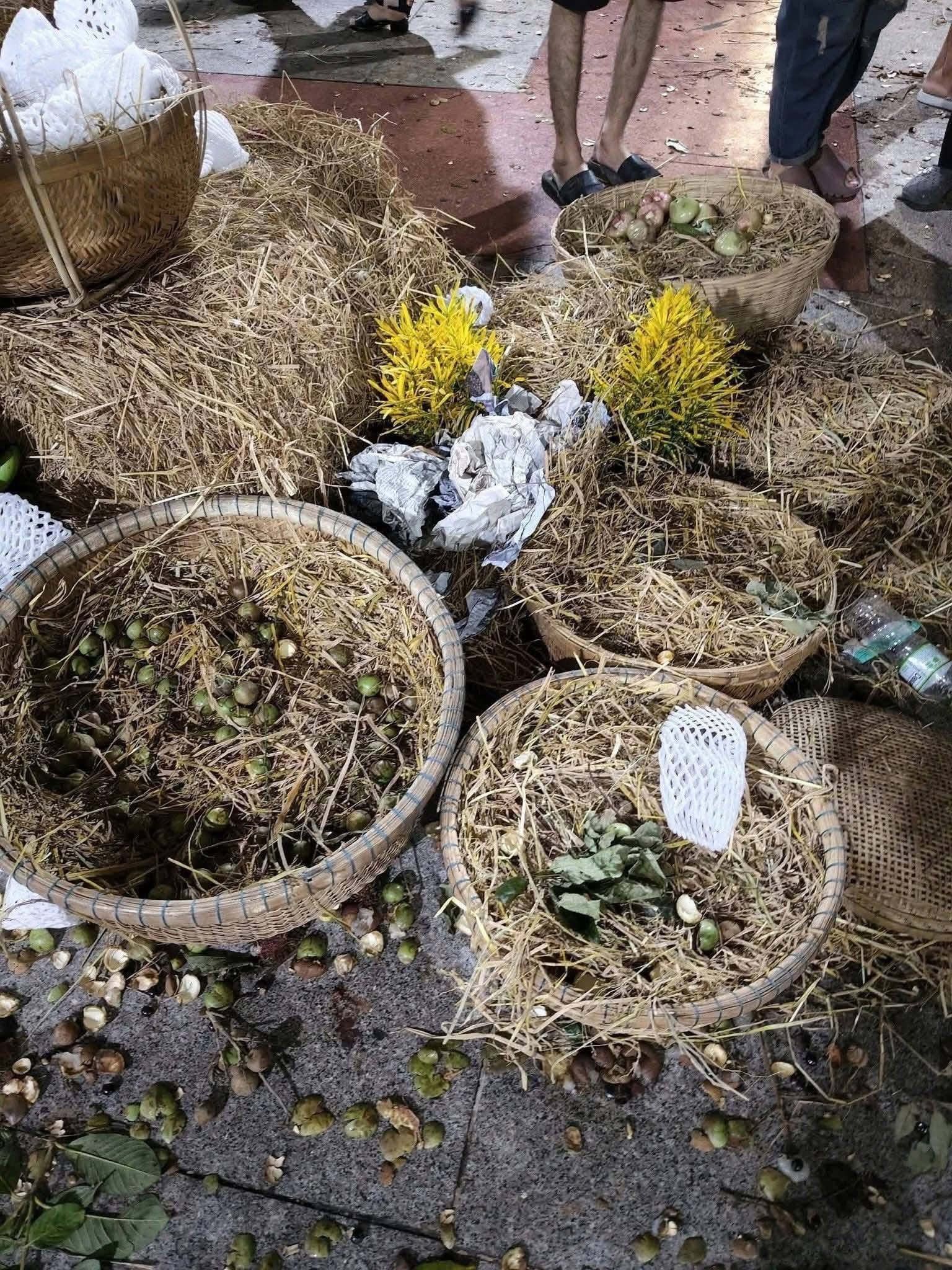 lễ hội trái cây, Đồng Tháp ảnh 4 le hoi trai cay, Dong Thap anh 4