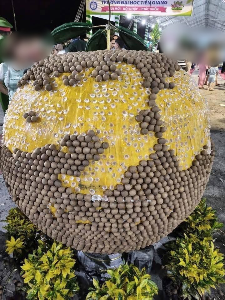 lễ hội trái cây, Đồng Tháp ảnh 1 le hoi trai cay, Dong Thap anh 1