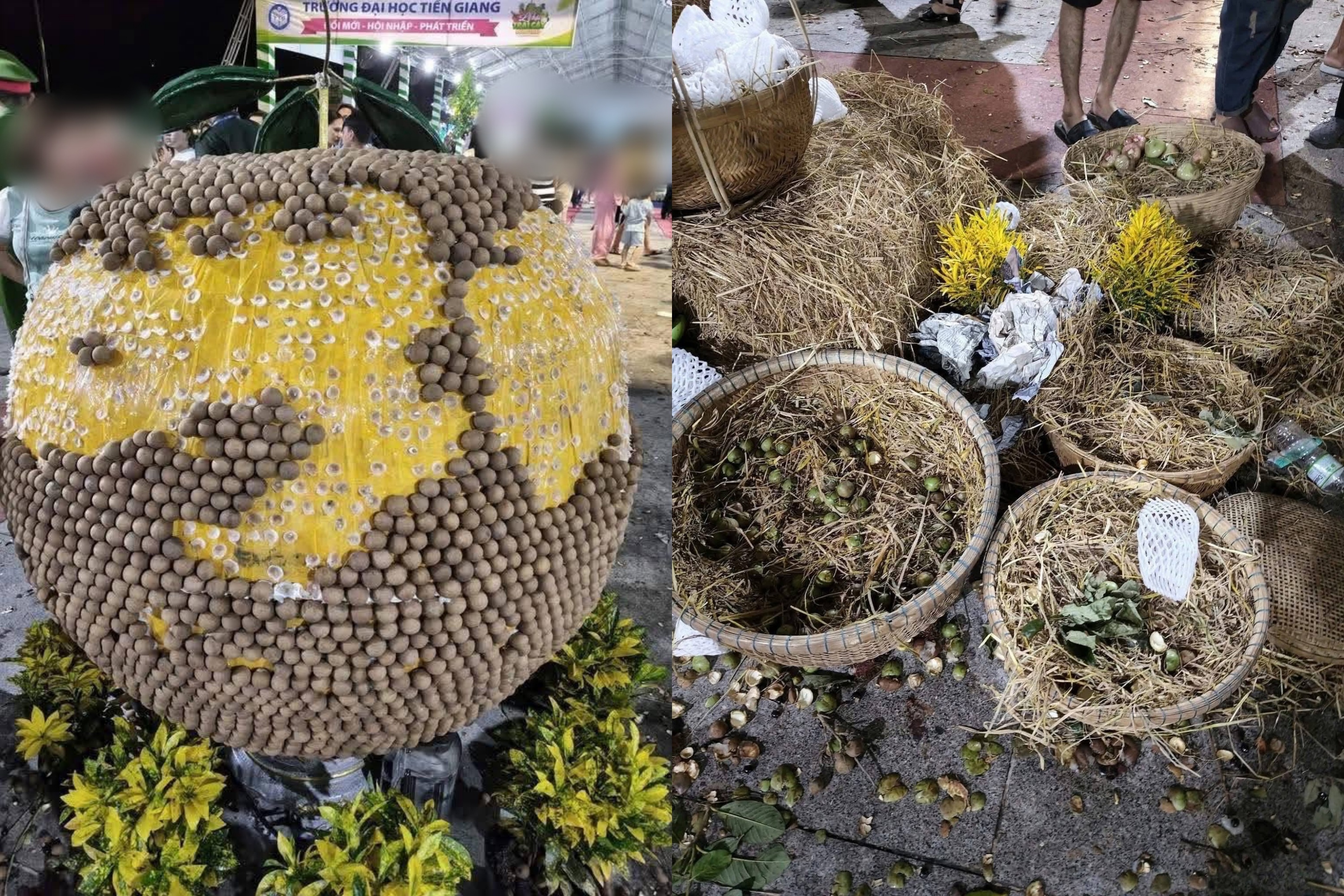 Le hoi trai cay Dong Thap 'vo tran', tieu canh bi lay mat trai cay hinh anh