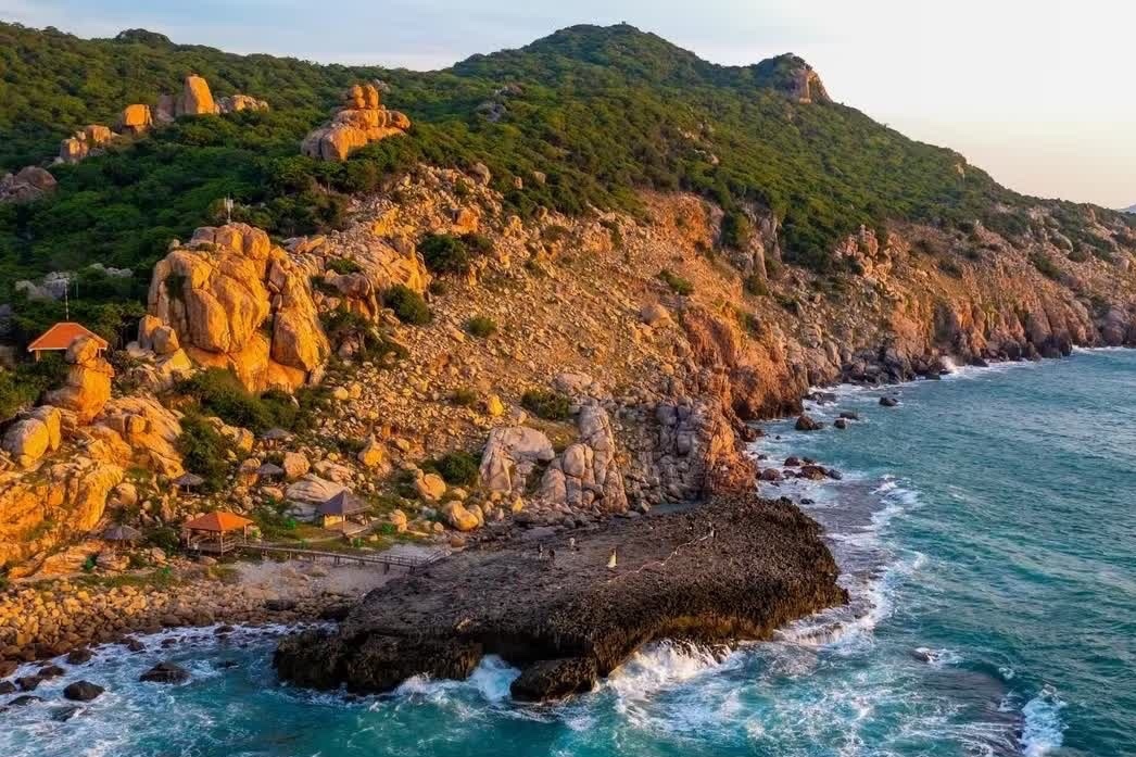 Chan chinh trekking, camping o Vuon Quoc gia Nui Chua - Phuoc Binh hinh anh