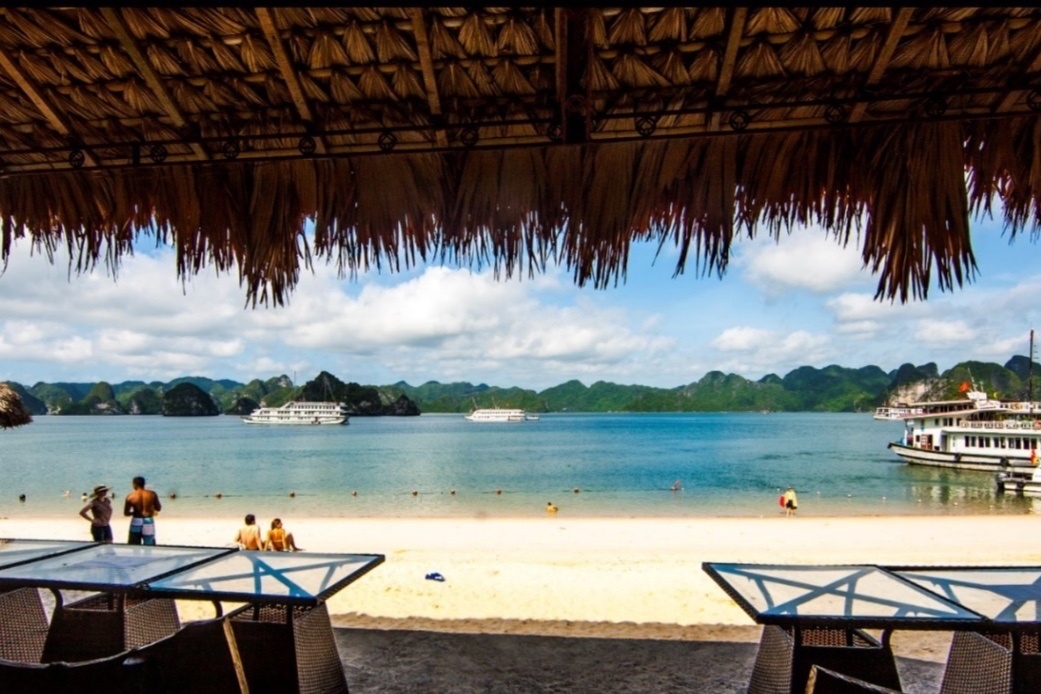 b&atilde;i biển,  Soi Sim ảnh 2